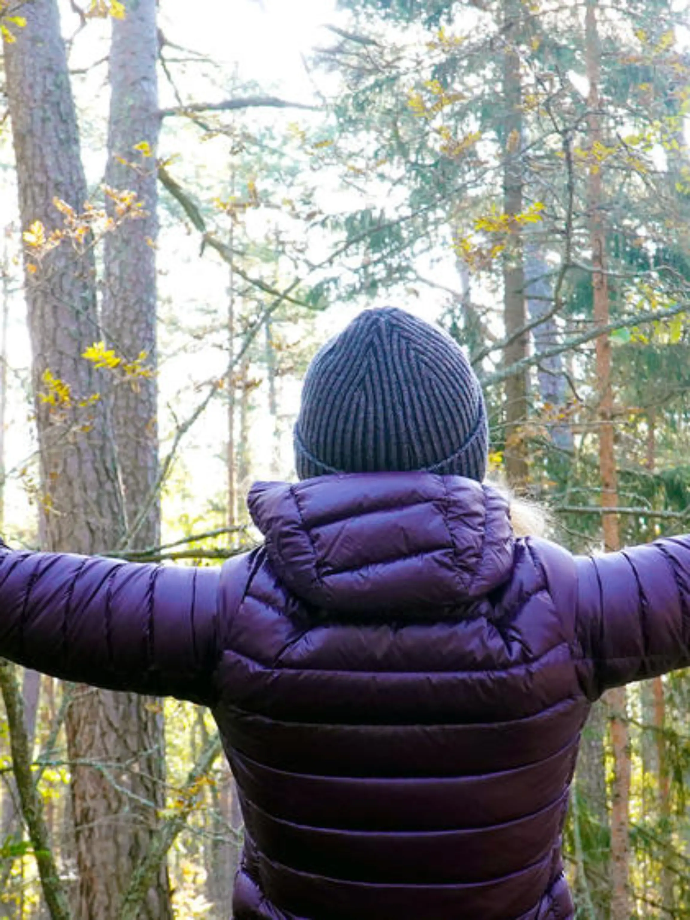 Wellness-Trend Waldbaden: "Ein altmodischer Spaziergang reicht!"