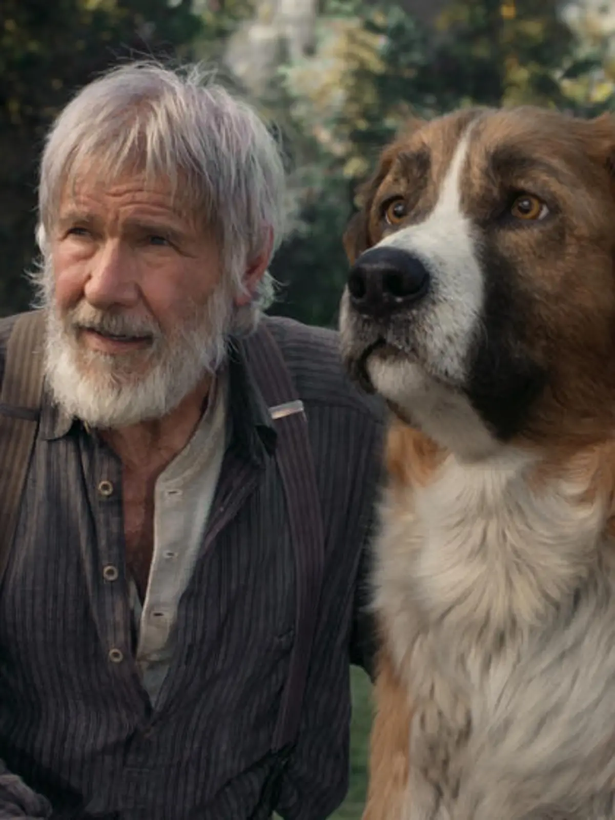 Harrison Fords neuer Film "Ruf der Wildnis" floppt an den Kinokassen