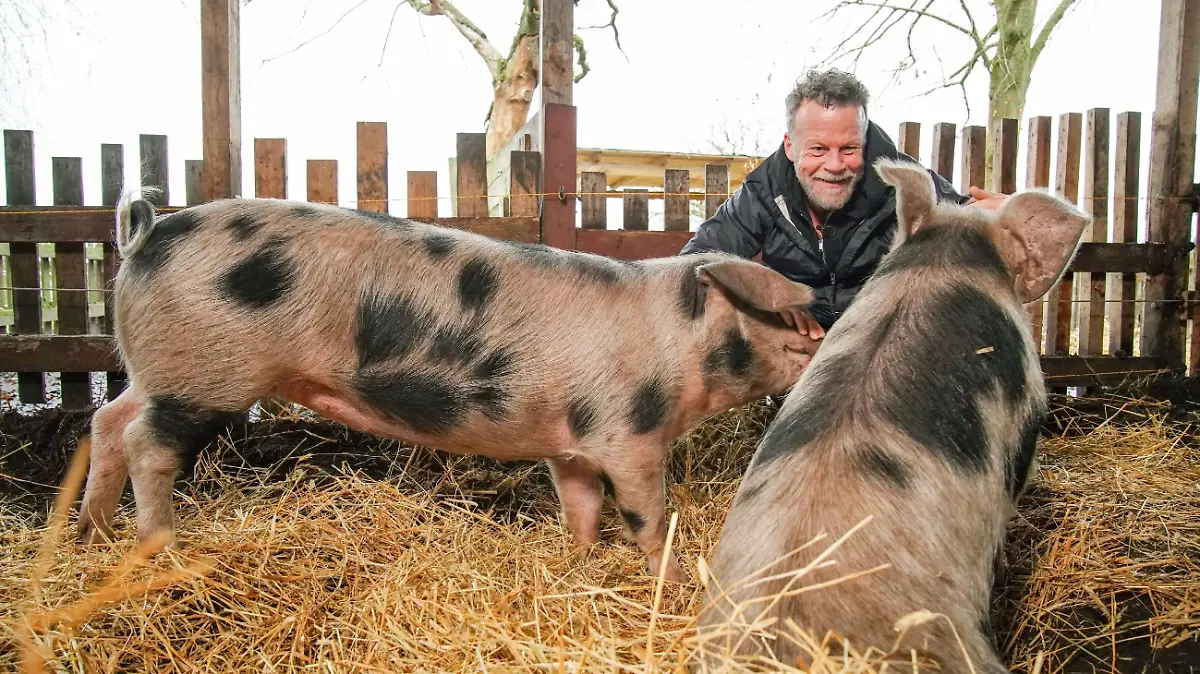 Jenke von Wilmsdorff mit den Schweinen Elsa und Schmali
+++ Die Verwendung des sendungsbezogenen Materials ist nur mit dem Hinweis und Verlinkung auf TVNOW gestattet. +++
