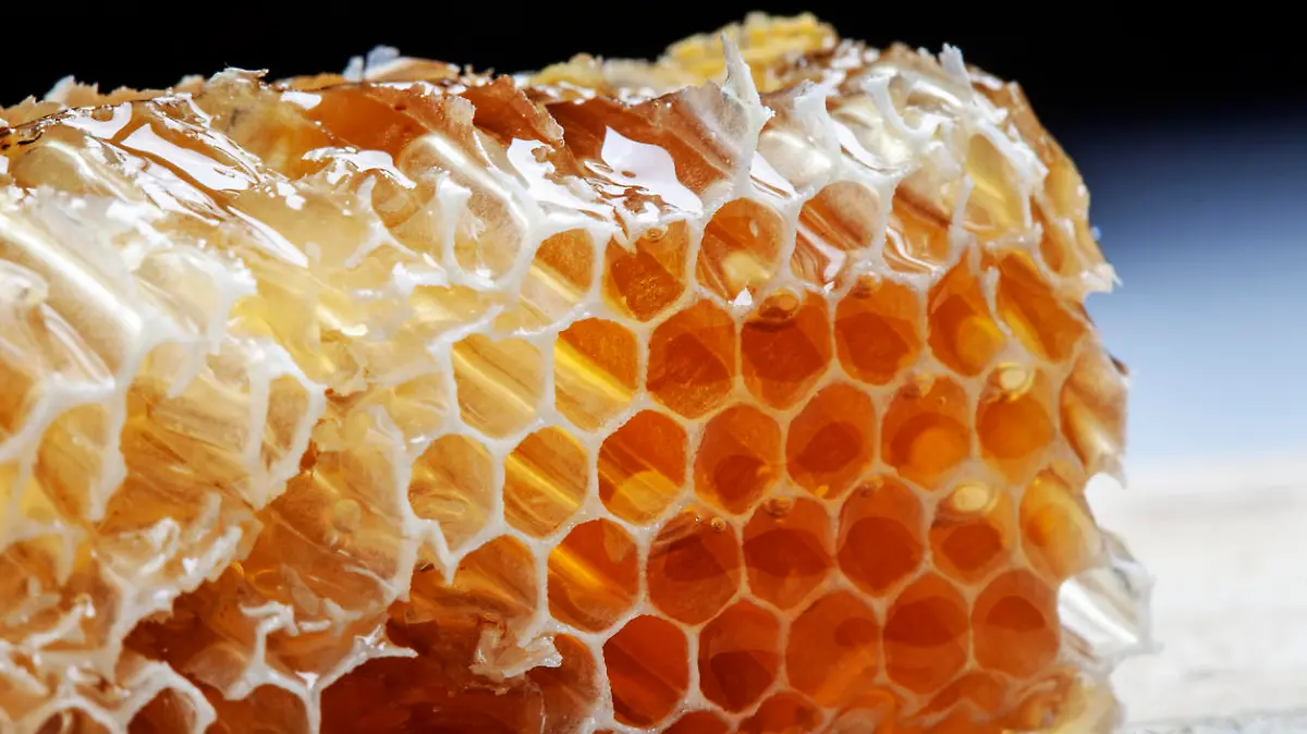 Propolis aus Bienenwabe