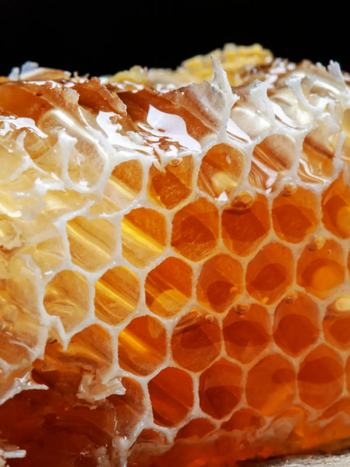 Propolis aus Bienenwabe