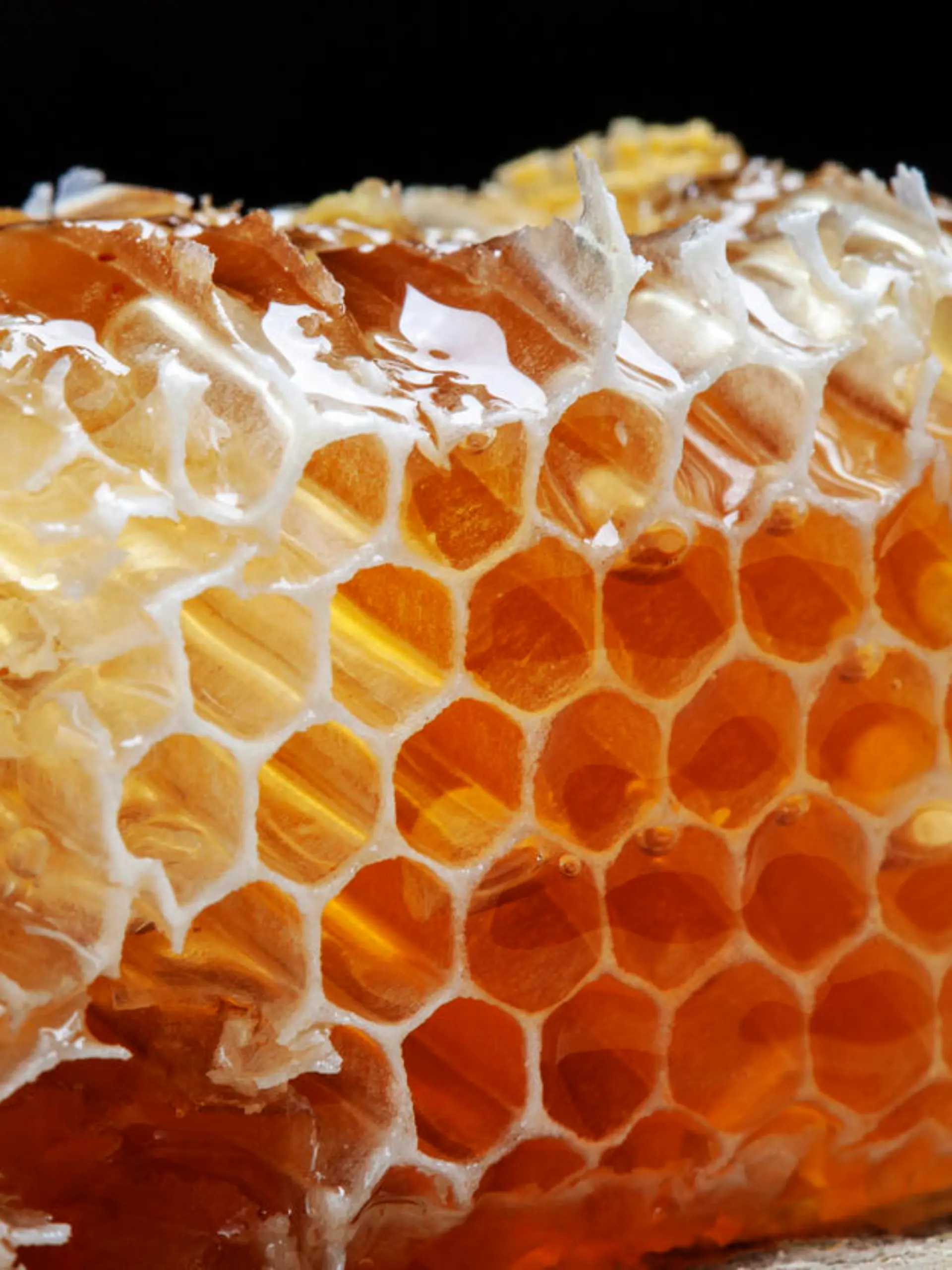 Propolis aus Bienenwabe