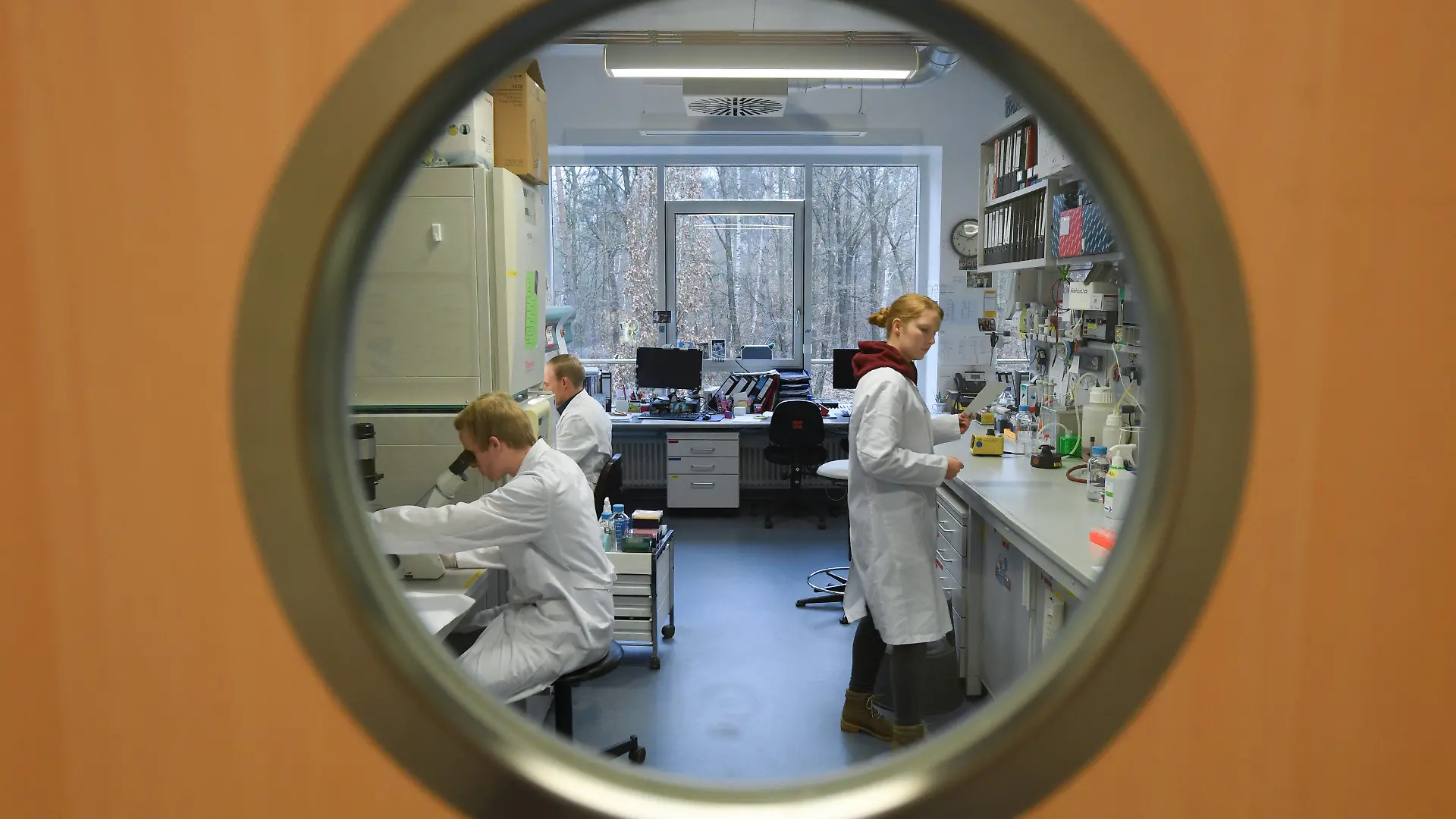 24.01.2020, Hessen, Marburg: Mitarbeiter des Instituts für Virologie der Philipps-Universität Marburg arbeiten in einem Forschungslabor. Das neuartige Coronavirus beschäftigt auch hessische Wissenschaftler. Die Virologen der Uni Marburg sind an der Entwicklung eines Impfstoffs gegen den Lungen-Erreger beteiligt. Foto: Arne Dedert/dpa +++ dpa-Bildfunk +++