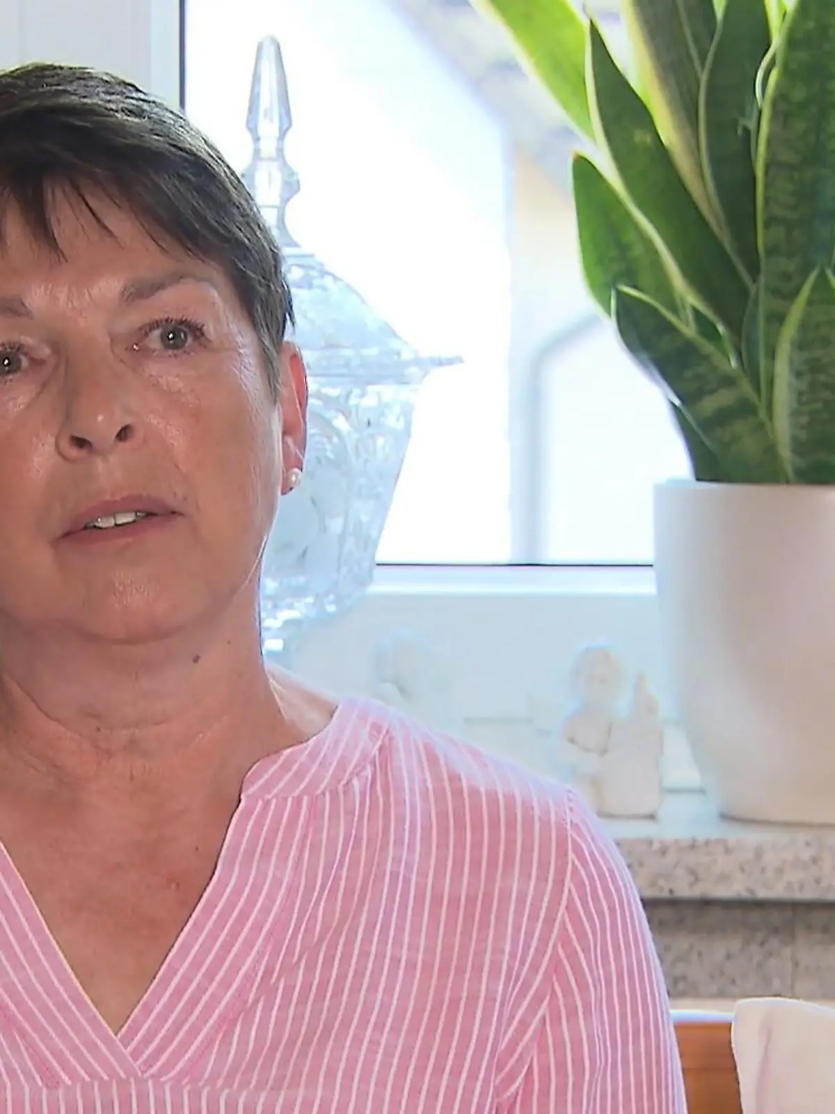 Bild zu: "„Als wenn man von innen brennt” – Zeckenbiss löst bei Bayerin Fleisch-Allergie aus"