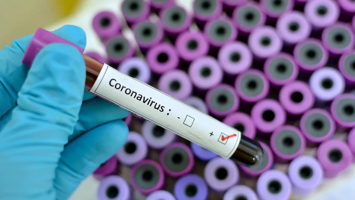 Corona Virus