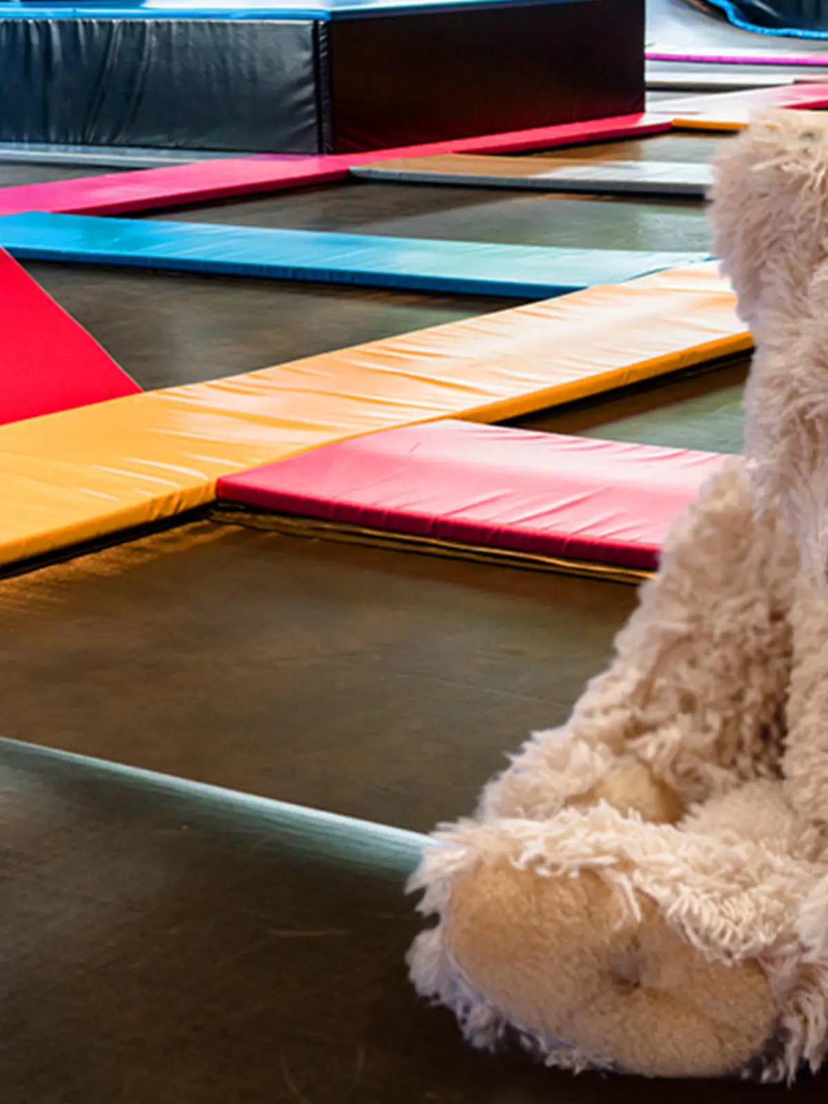 Teddybär auf Trampolin