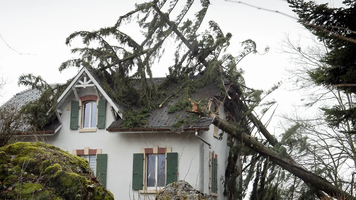 10.02.2020, Schweiz, Lutry: Umgestürzte Bäume haben das Dach eines Hauses beschädigt. Das Orkantief «Ciara» hat am Abend des 09.02.2020 die Schweiz erreicht. Foto: Laurent Darbellay/KEYSTONE/dpa +++ dpa-Bildfunk +++
