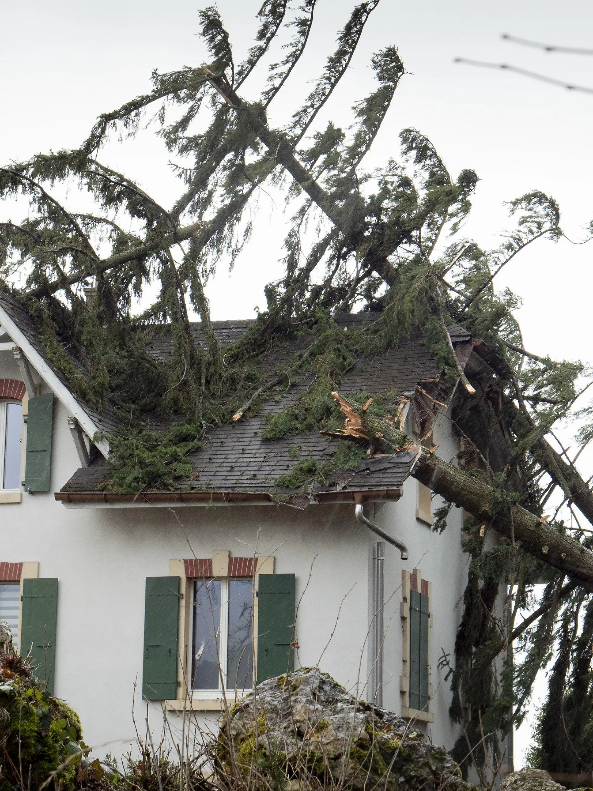 10.02.2020, Schweiz, Lutry: Umgestürzte Bäume haben das Dach eines Hauses beschädigt. Das Orkantief «Ciara» hat am Abend des 09.02.2020 die Schweiz erreicht. Foto: Laurent Darbellay/KEYSTONE/dpa +++ dpa-Bildfunk +++