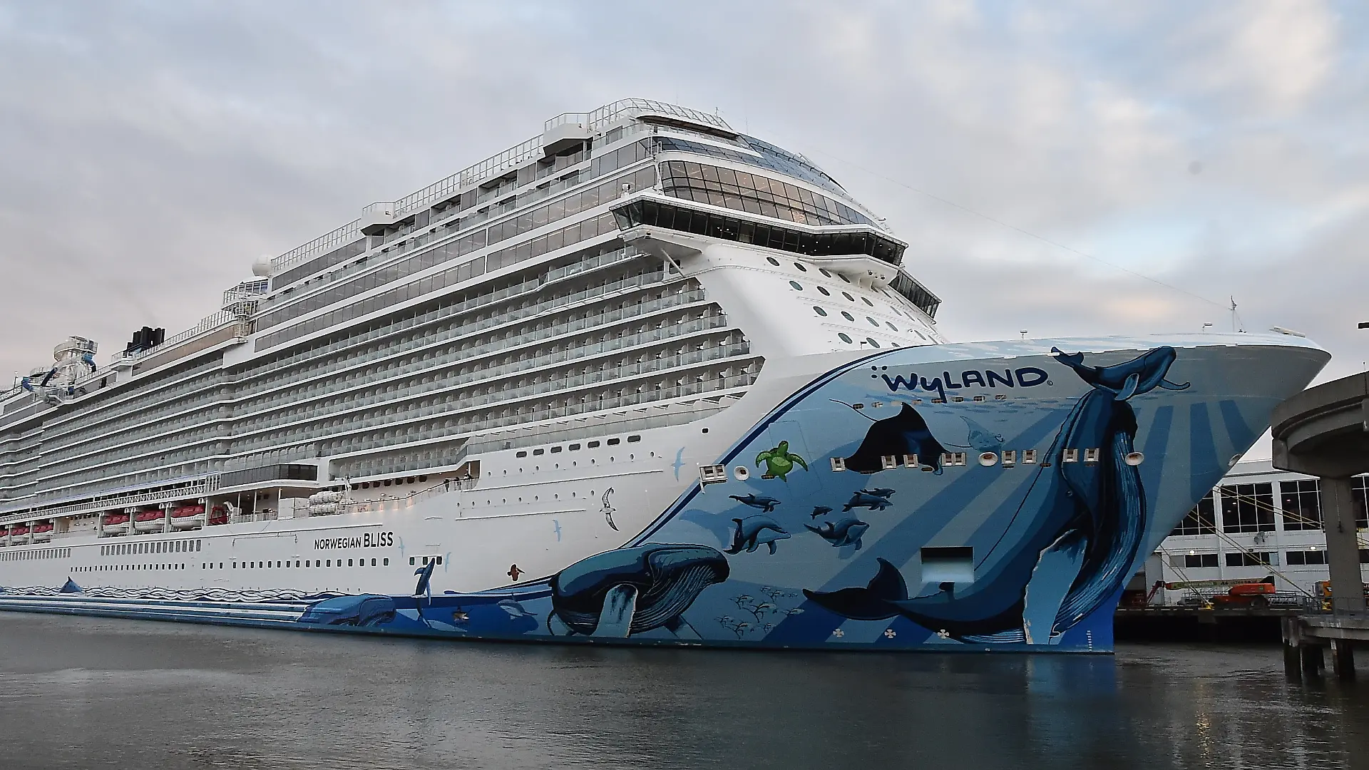 March 15, 2020 - New York,. NY USA: Passengers aboard Norwegian Bliss cruise ship docked on the West side of Manhattan have been allowed to disembark disembark when it was confirmed no passengers have Coronavirus. (John Roca/Polaris/ddp) ///
Corona virus folo