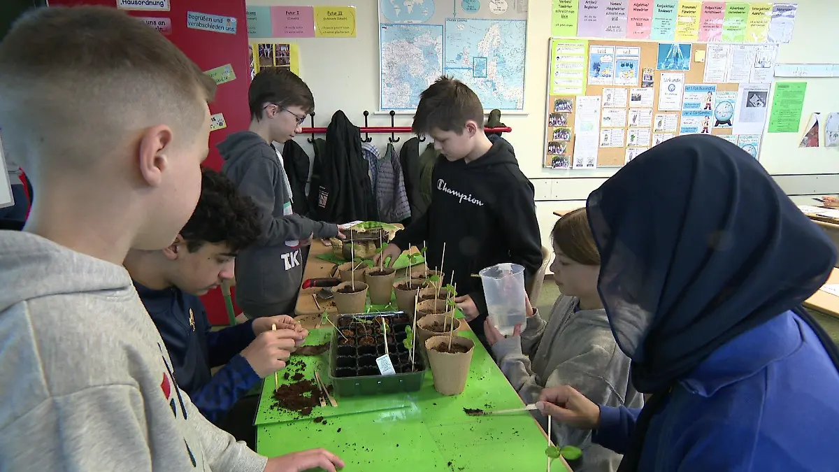 Die Kinder an der Oberschule lernen, wie sie Gemüse richtig anbauen.