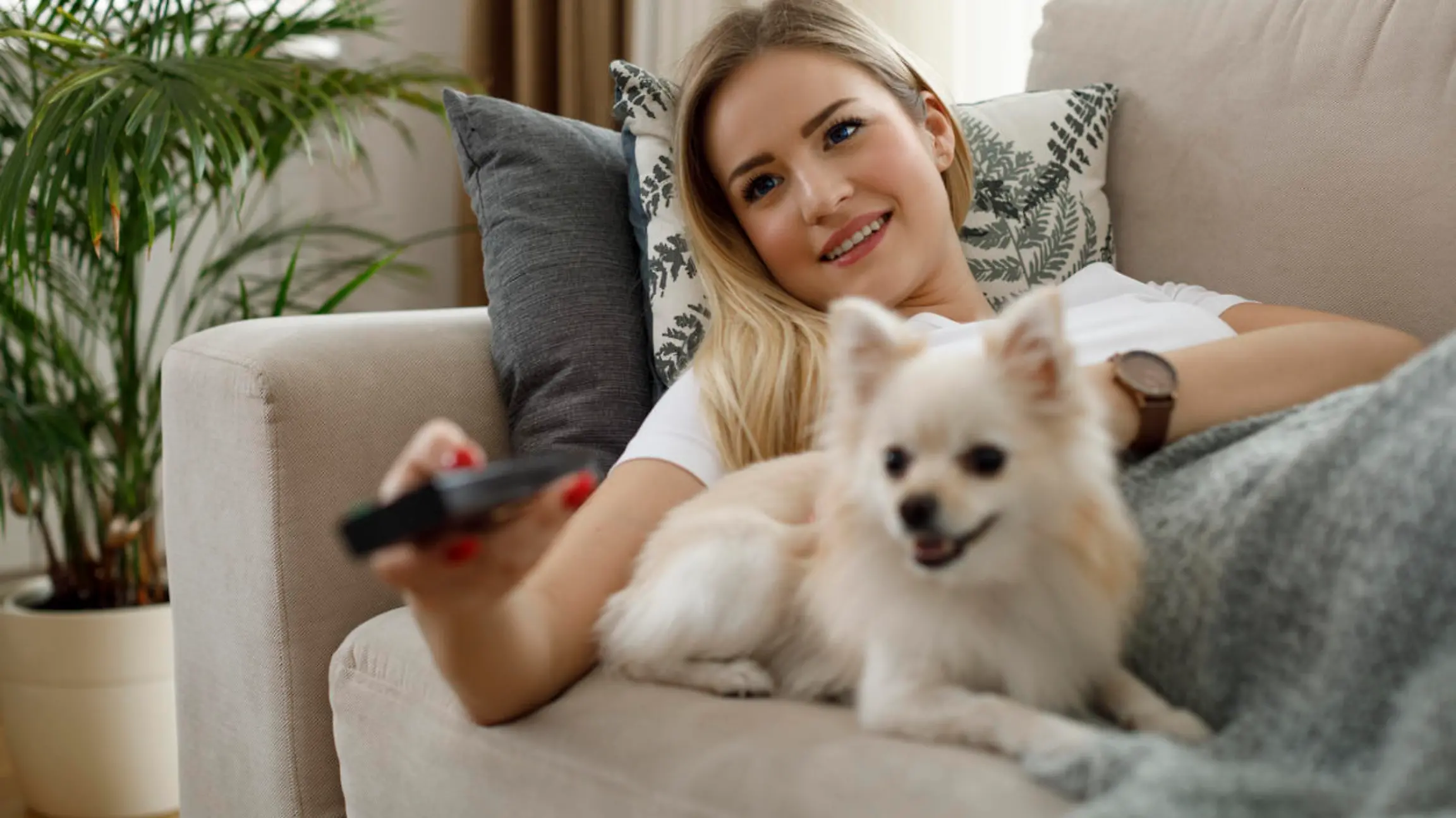 Die Farbwahrnehmung von Hunden ist blasser und ihr Gehör schafft viel mehr Frequenzbereiche, als das unsere.