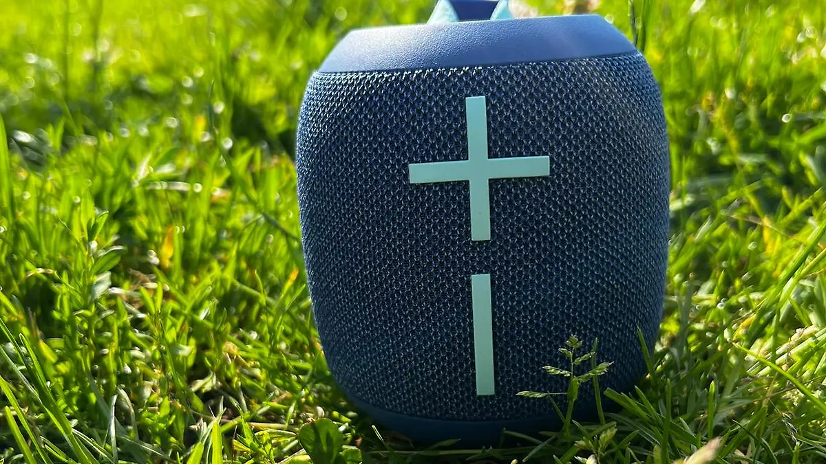Wonderboom 4