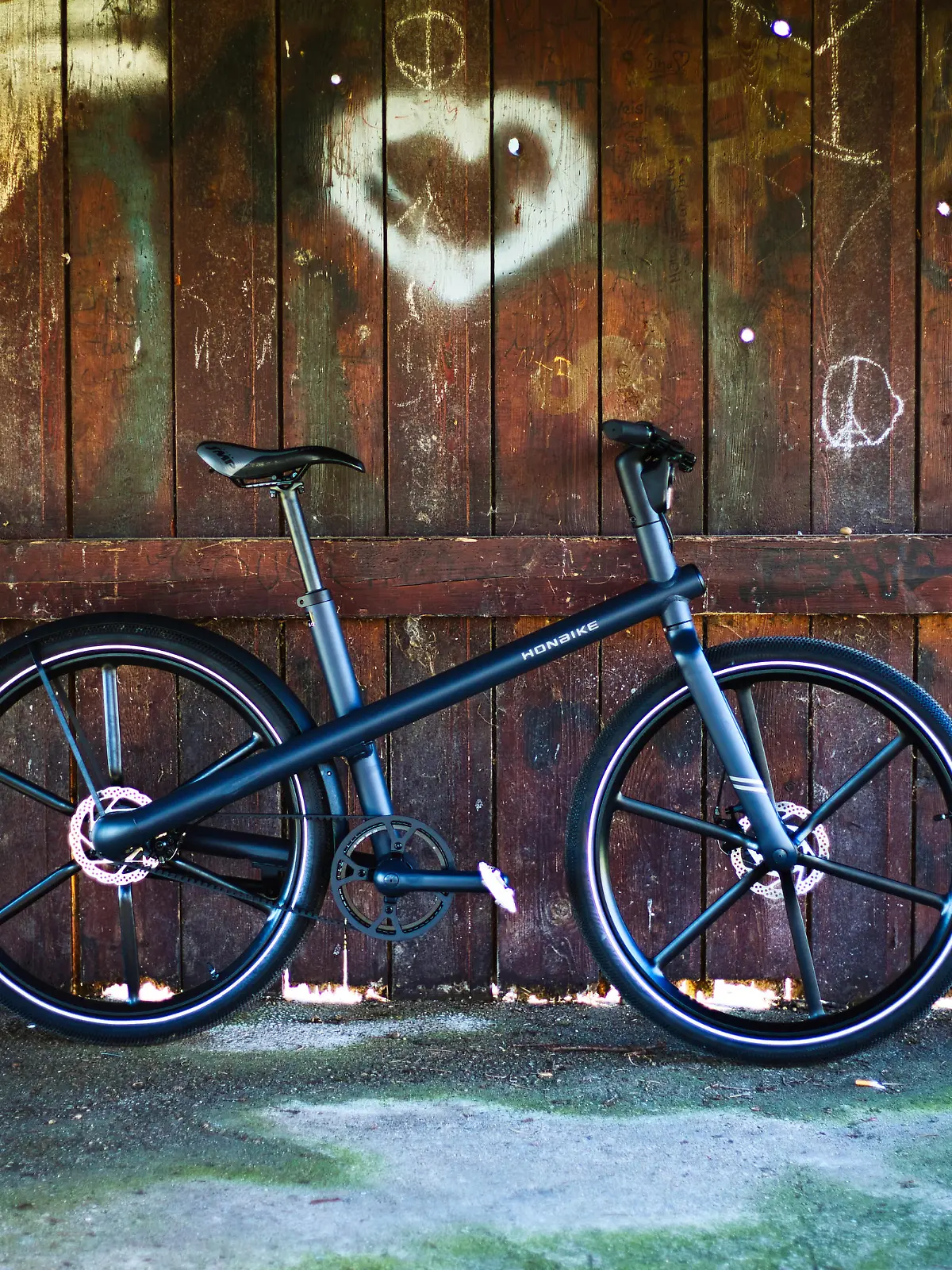 RTL-Test-E-Bike-Honbike-Torsten-Rabe-3 MGL8641