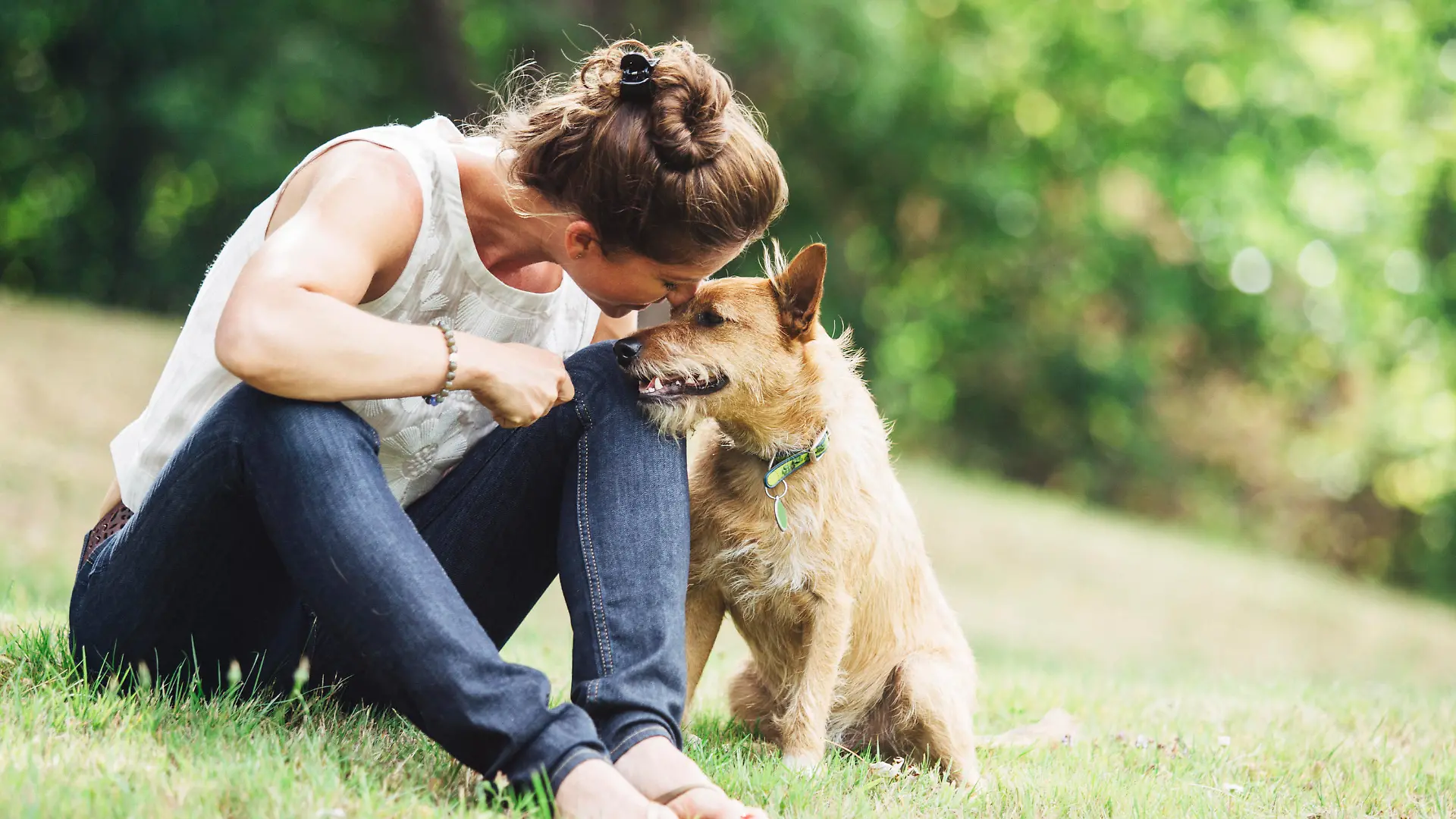 A mature Caucasian woman has relaxing fun playing with her dog in a beautiful park setting. She lovingly talks to him with a smile on her face. They rest in the grass, the woman arm over the dog. Horizontal image with copy space.