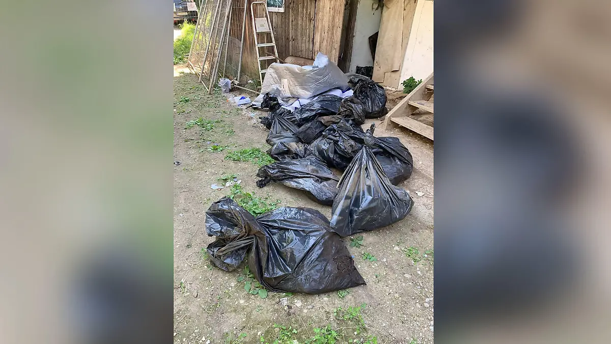 In Müllsäcken fanden Tierschützer 35 Hundekadaver.