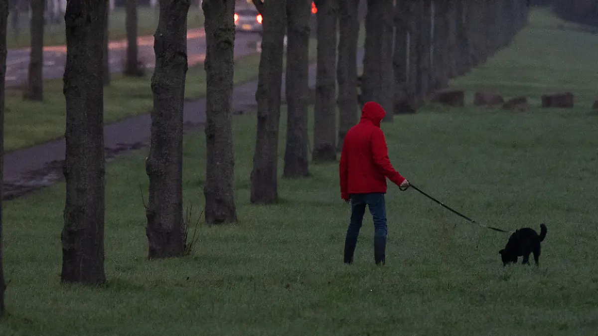 Ein Mann geht am Morgen mit seinem Hund spazieren.
