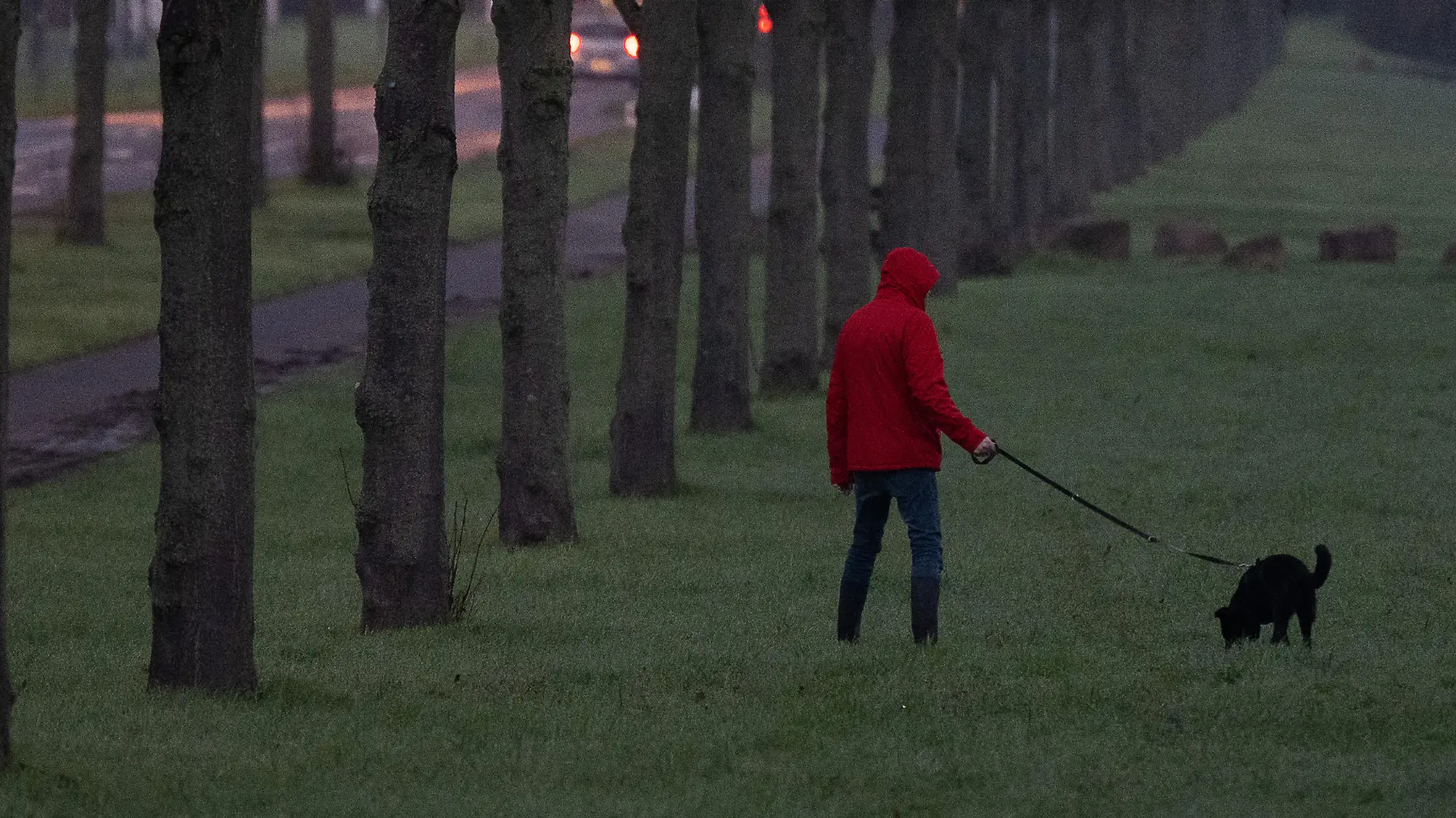 Ein Mann geht am Morgen mit seinem Hund spazieren.
