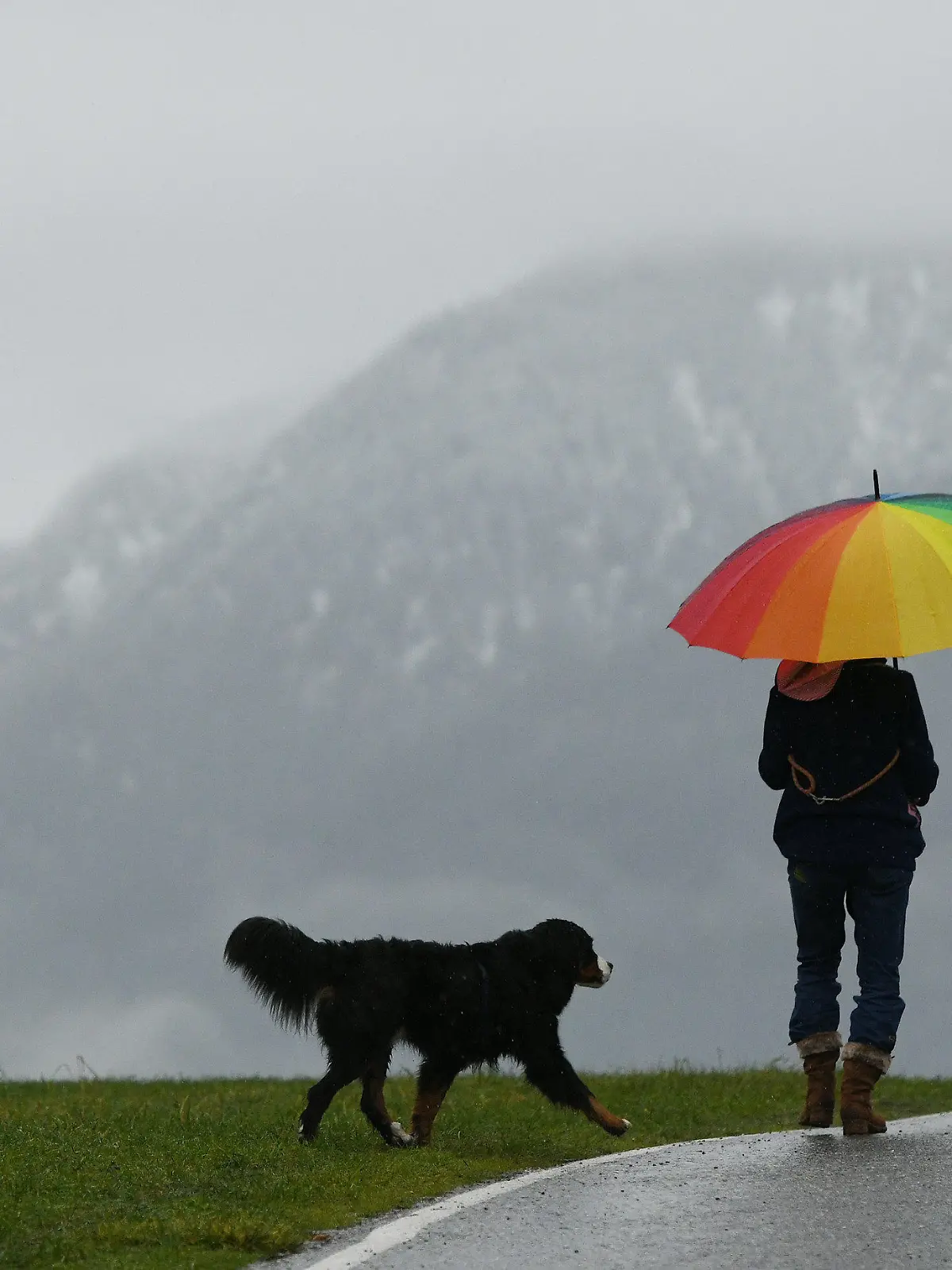 17.11.2019, Bayern, Garmisch-Partenkirchen: Eine Frau mit Regenschirm führt ihren Hund Gassi bei nasskaltem Wetter. Foto: Angelika Warmuth/dpa +++ dpa-Bildfunk +++