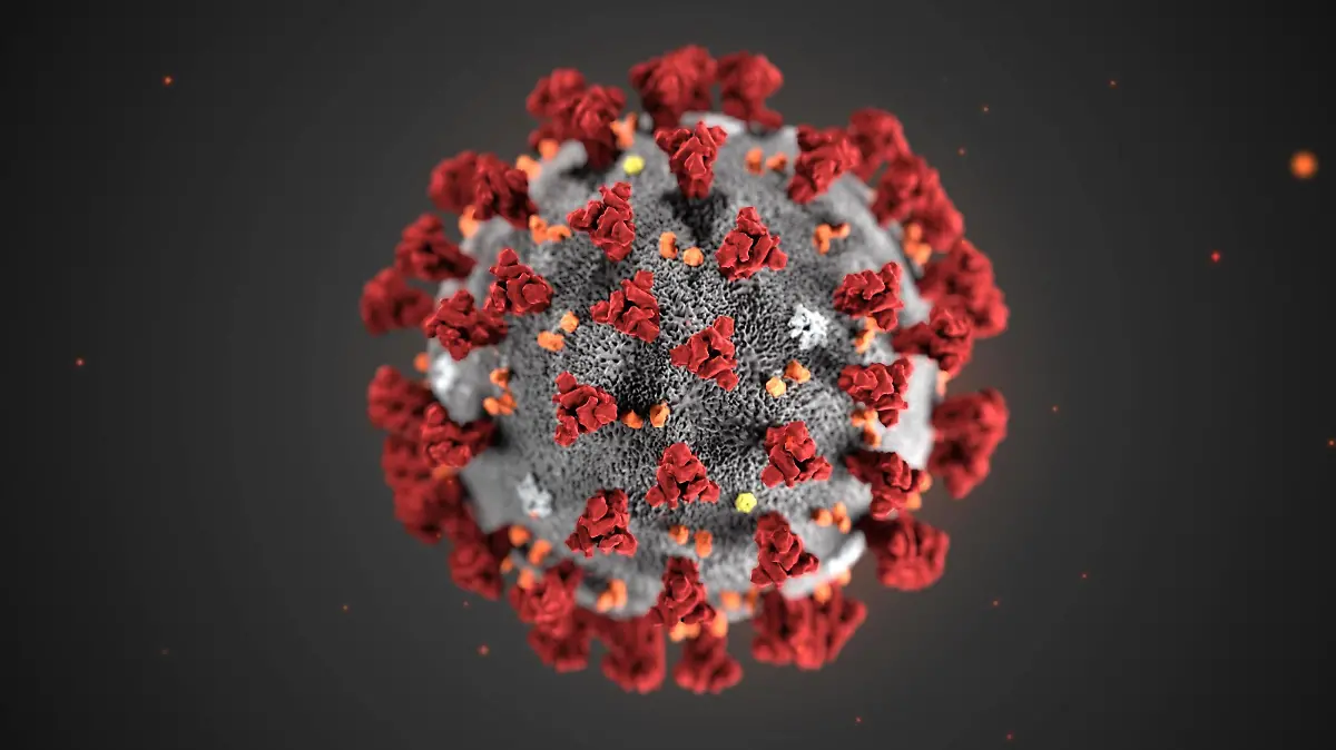  January 31, 2020: This illustration reveals ultrastructural morphology exhibited by the 2019 Novel Coronavirus 2019-nCoV. Note the spikes that adorn the outer surface of the virus, which impart the look of a corona surrounding the virion, when viewed electron microscopically. This virus was identified as the cause of an outbreak of respiratory illness first detected in Wuhan, China. The illustration was created at the Centers for Disease Control and Prevention CDC..When: 31 Jan 2020.Credit: CDCCover Images..**Editorial use only* PUBLICATIONxINxGERxSUIxAUTxONLY - ZUMAc218 20200131ziac218001 Copyright: xCOVERxImagesx