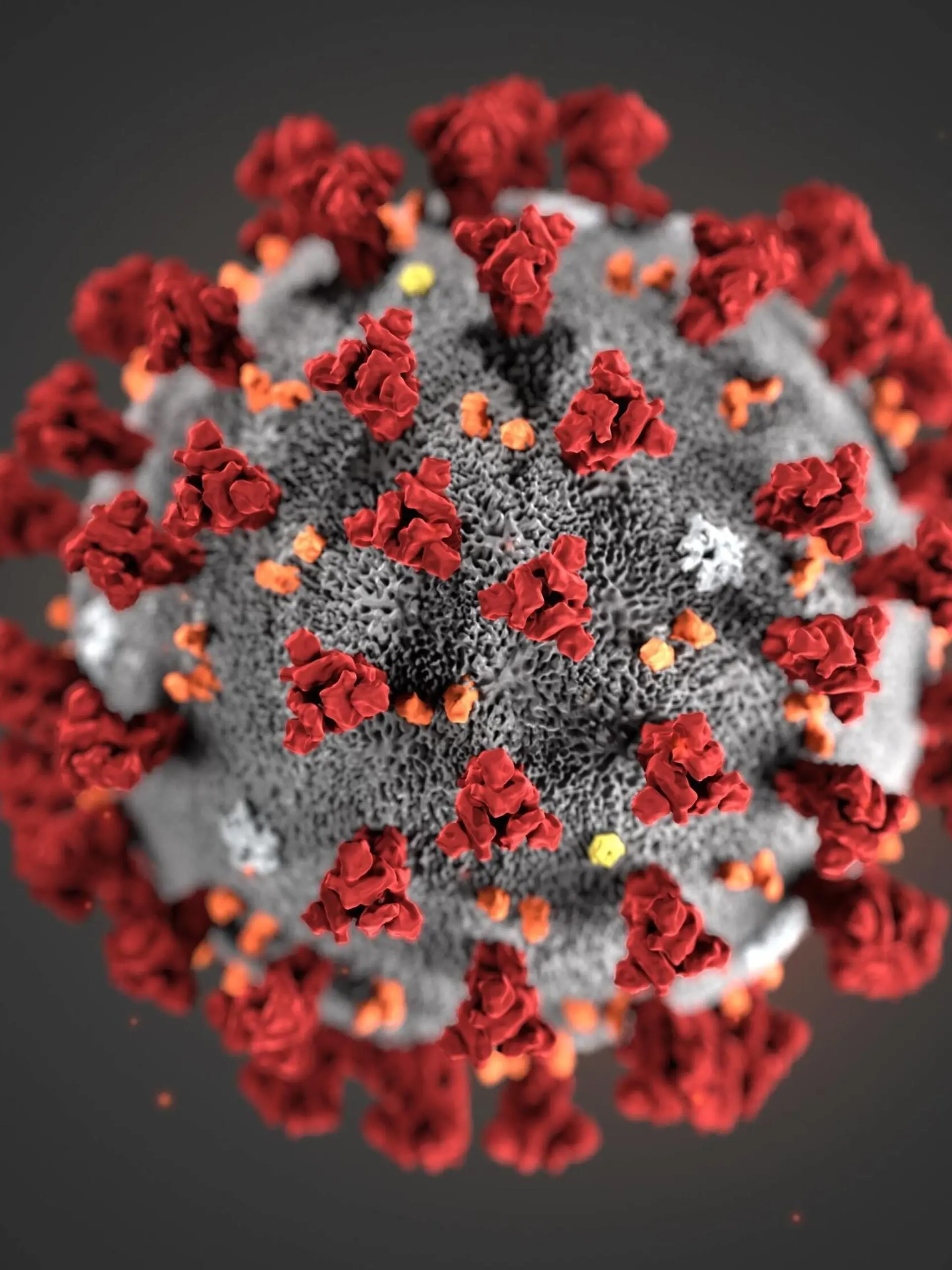  January 31, 2020: This illustration reveals ultrastructural morphology exhibited by the 2019 Novel Coronavirus 2019-nCoV. Note the spikes that adorn the outer surface of the virus, which impart the look of a corona surrounding the virion, when viewed electron microscopically. This virus was identified as the cause of an outbreak of respiratory illness first detected in Wuhan, China. The illustration was created at the Centers for Disease Control and Prevention CDC..When: 31 Jan 2020.Credit: CDCCover Images..**Editorial use only* PUBLICATIONxINxGERxSUIxAUTxONLY - ZUMAc218 20200131ziac218001 Copyright: xCOVERxImagesx