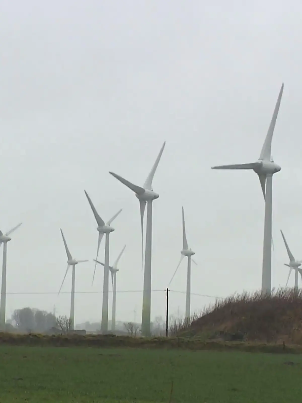 Bild zu: "Machen Windräder die Anwohner krank?"