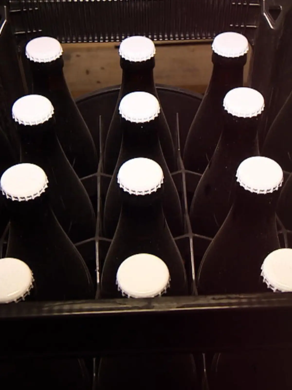 Bild zu: "Wein in Bierflaschen"