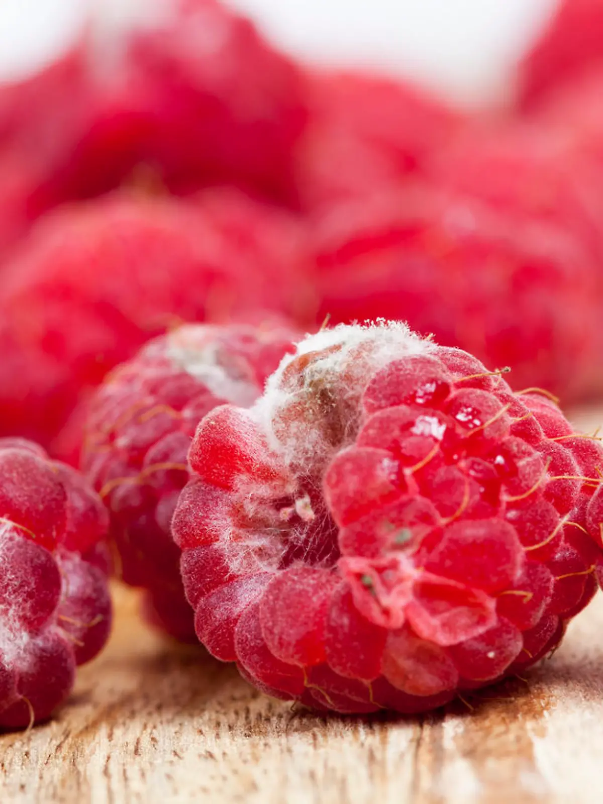 Verschimmelte Himbeeren