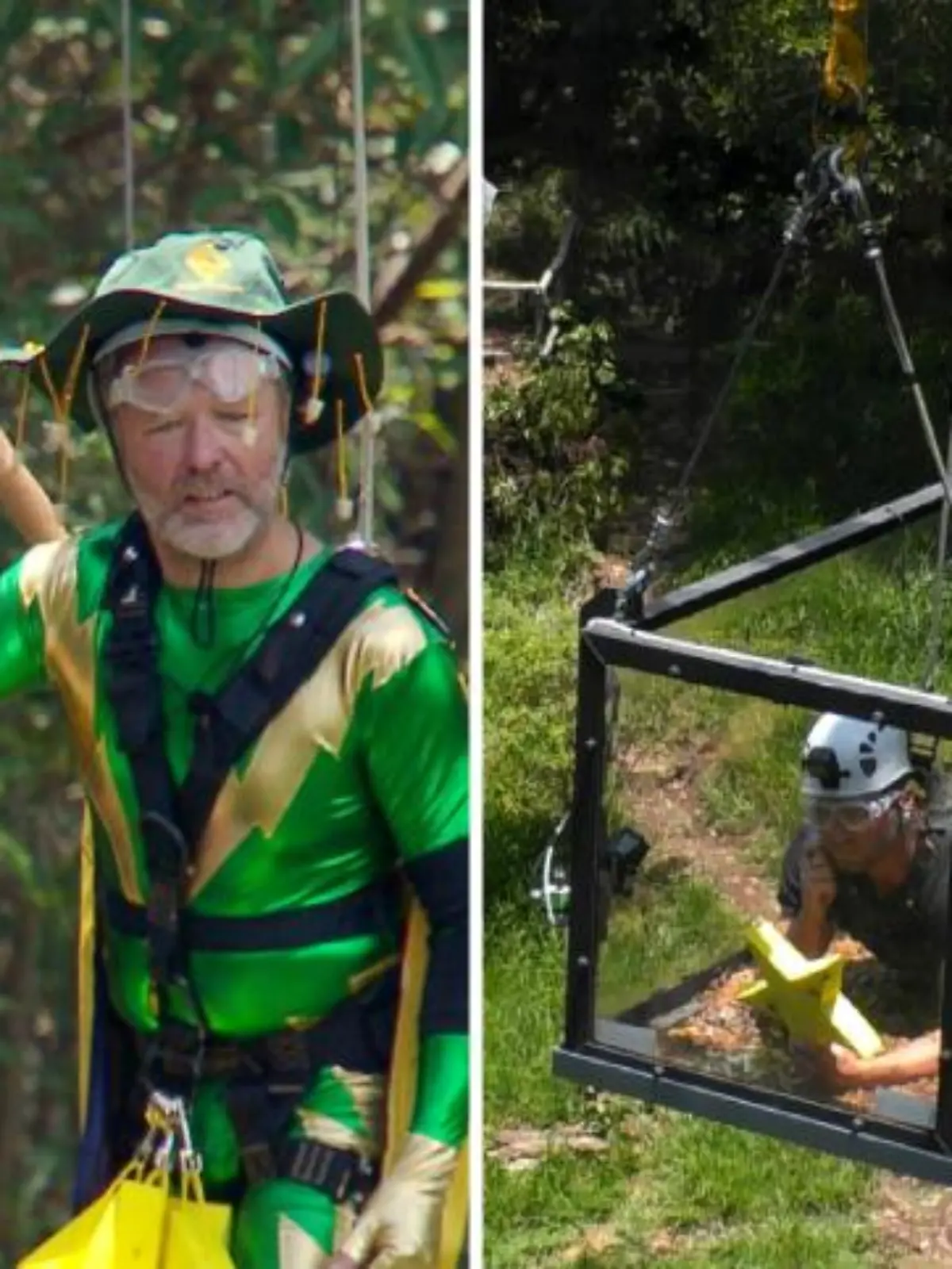 IBES Collage 2020