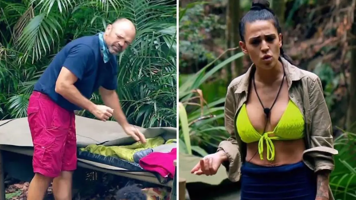 IBES Collage