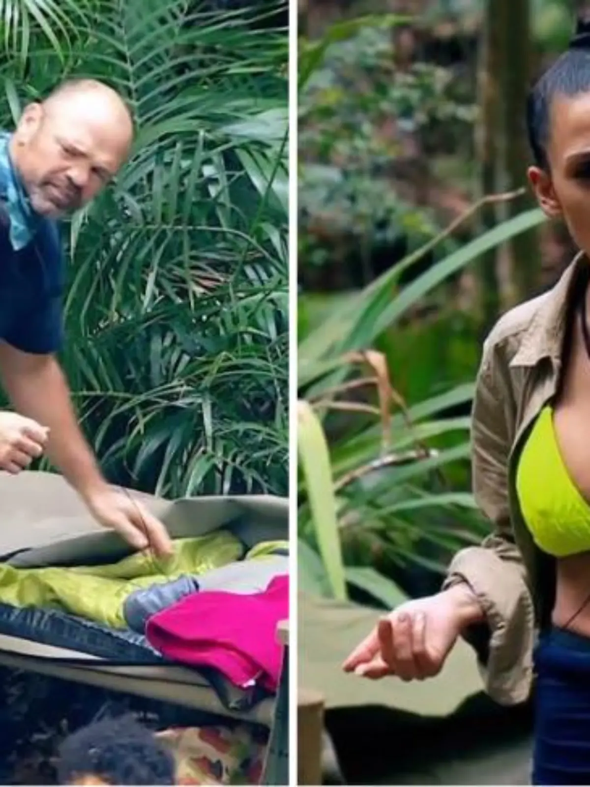 IBES Collage