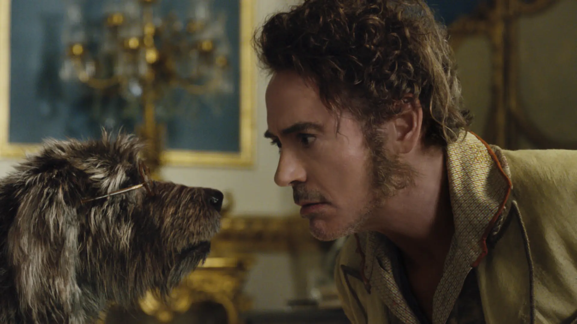"Die fantastische Reise des Dr. Dolittle" mit Robert Downey Jr. floppt