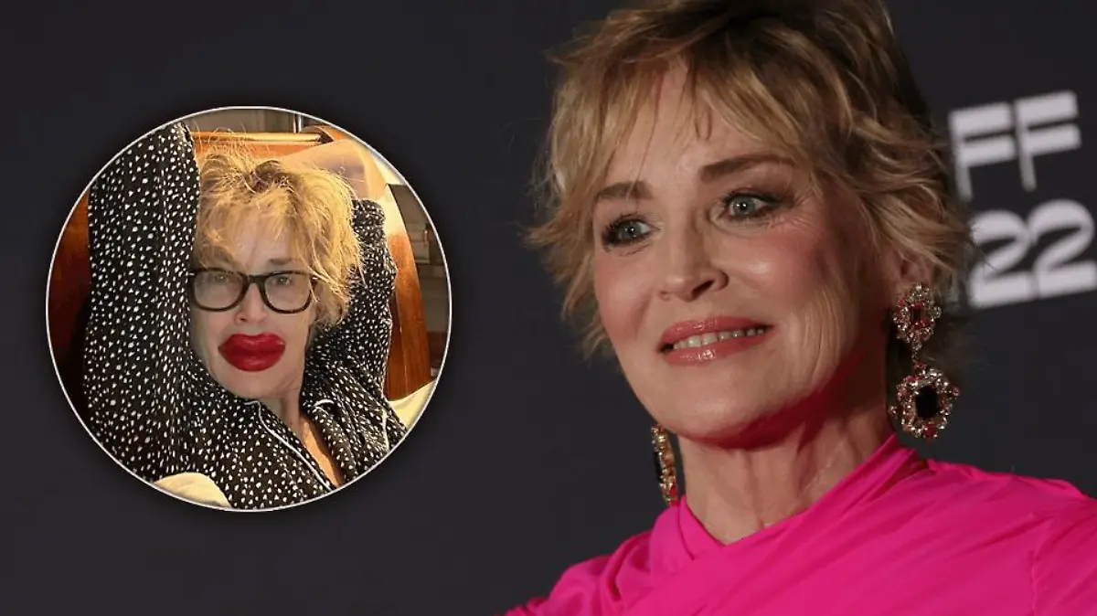 Hat sich Sharon Stone etwa die Lippen aufspritzen lassen?