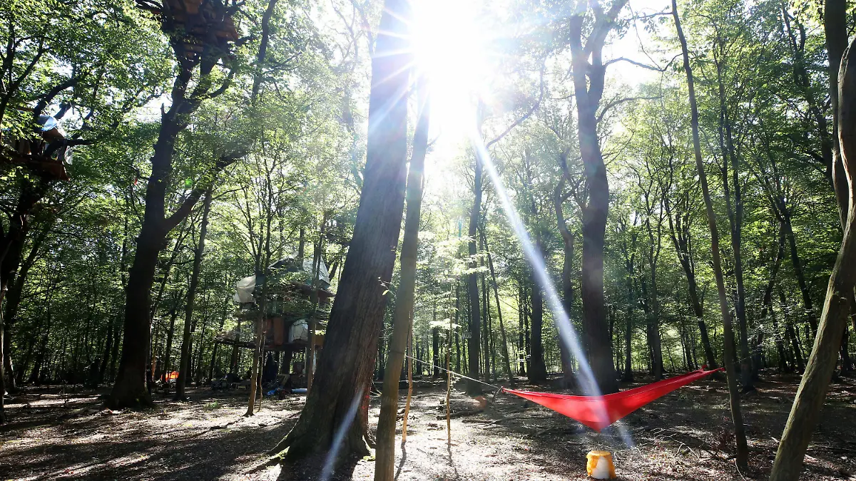 04.09.2019, Nordrhein-Westfalen, Kerpen: Eine improvisiere Wassersammelstelle wird im Hambacher Forst von der Sonne angestrahlt. Die Baumhausbewohner wurden vor fast genau einem Jahr von der Polizei aus dem Wald vertrieben (zu dpa «Ein Jahr nach Beginn der großen Räumung der Baumhäuser im Hambacher Forst») Foto: Roland Weihrauch/dpa +++ dpa-Bildfunk +++