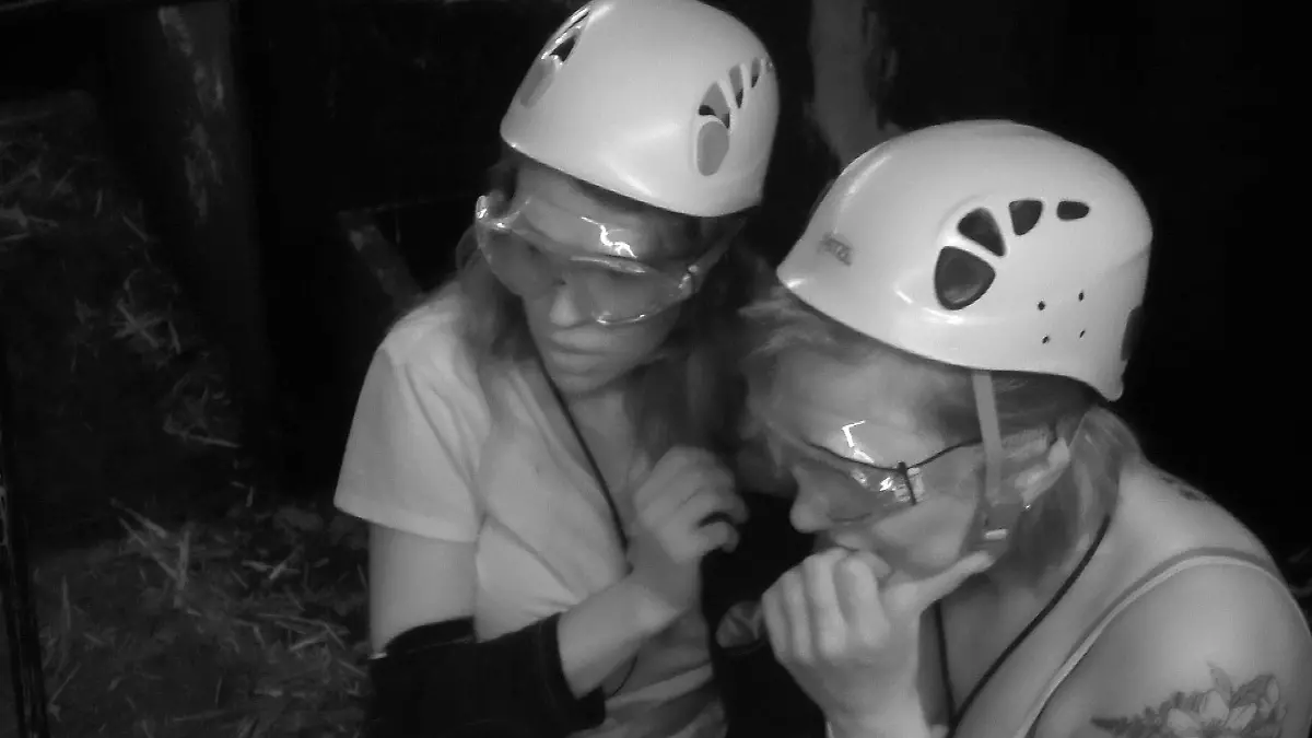 ACHTUNG: SPERRFRIST FÜR ALLE MEDIEN BIS MITTWOCH, 15.01.2020, 23.14 UHR !!! Tag 6 - Dschungelprüfung „Verlies Navidad“. Danni Büchner (r.) schreckt auf: „Da hat etwas gepisst gerade!“ Elena Miras bleibt cool: „Ist doch egal!“
Die Verwendung des sendungsbezogenen Materials ist nur mit dem Hinweis und Verlinkung auf TVNOW gestattet.