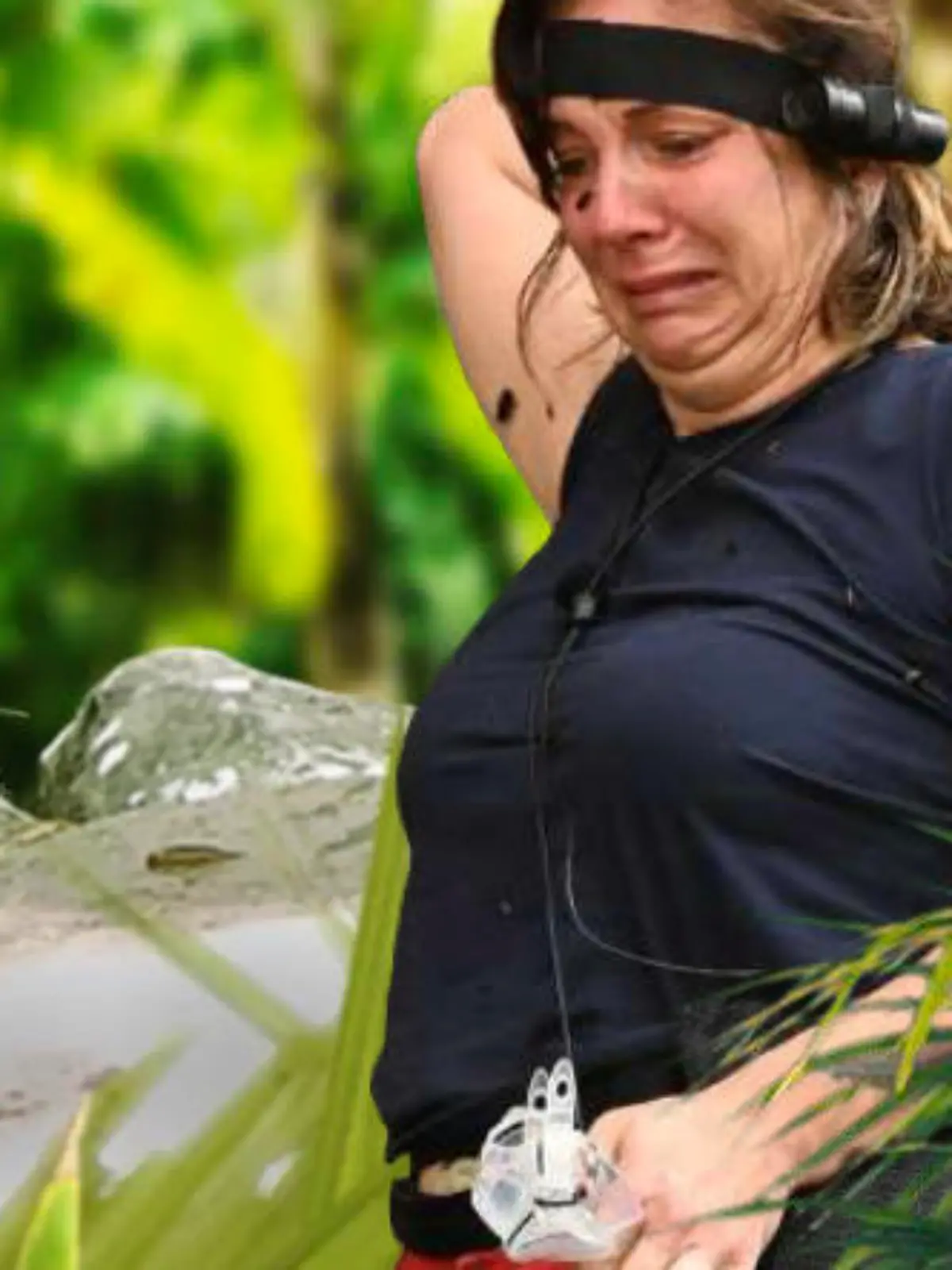 Teaser IBES.jpg