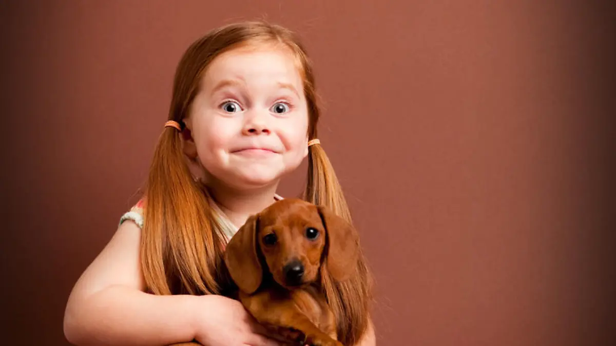 Color photo of an excited little girl holding her pet Miniature Dachshund puppy.