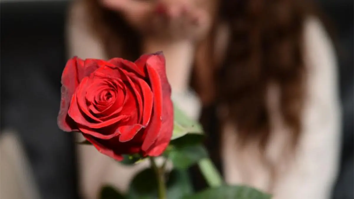 Andrej und Jenny zur ersten 'Bachelor'-Folge: 'Das hat gar nicht gepasst'