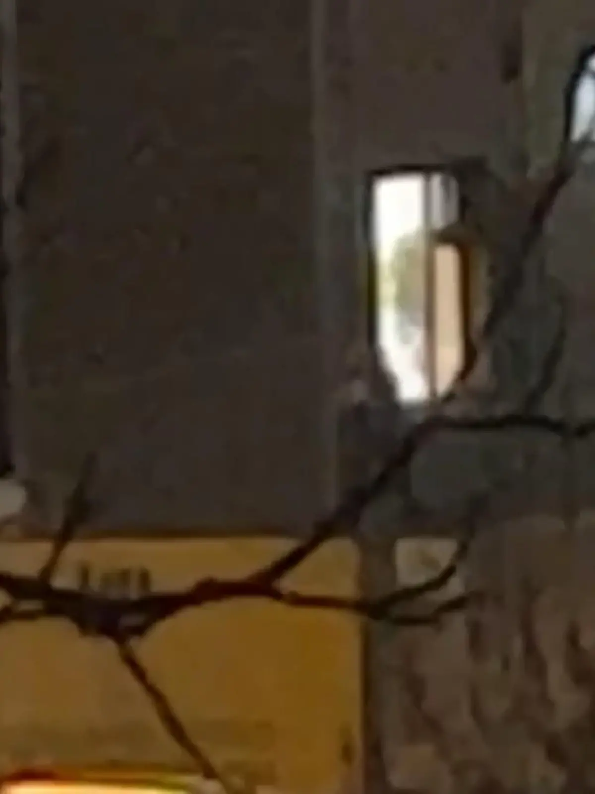 Ein Anwohner filmt den Amokschützen, der bei einer Veranstaltung der Zeugen Jehovas um sich schießt.