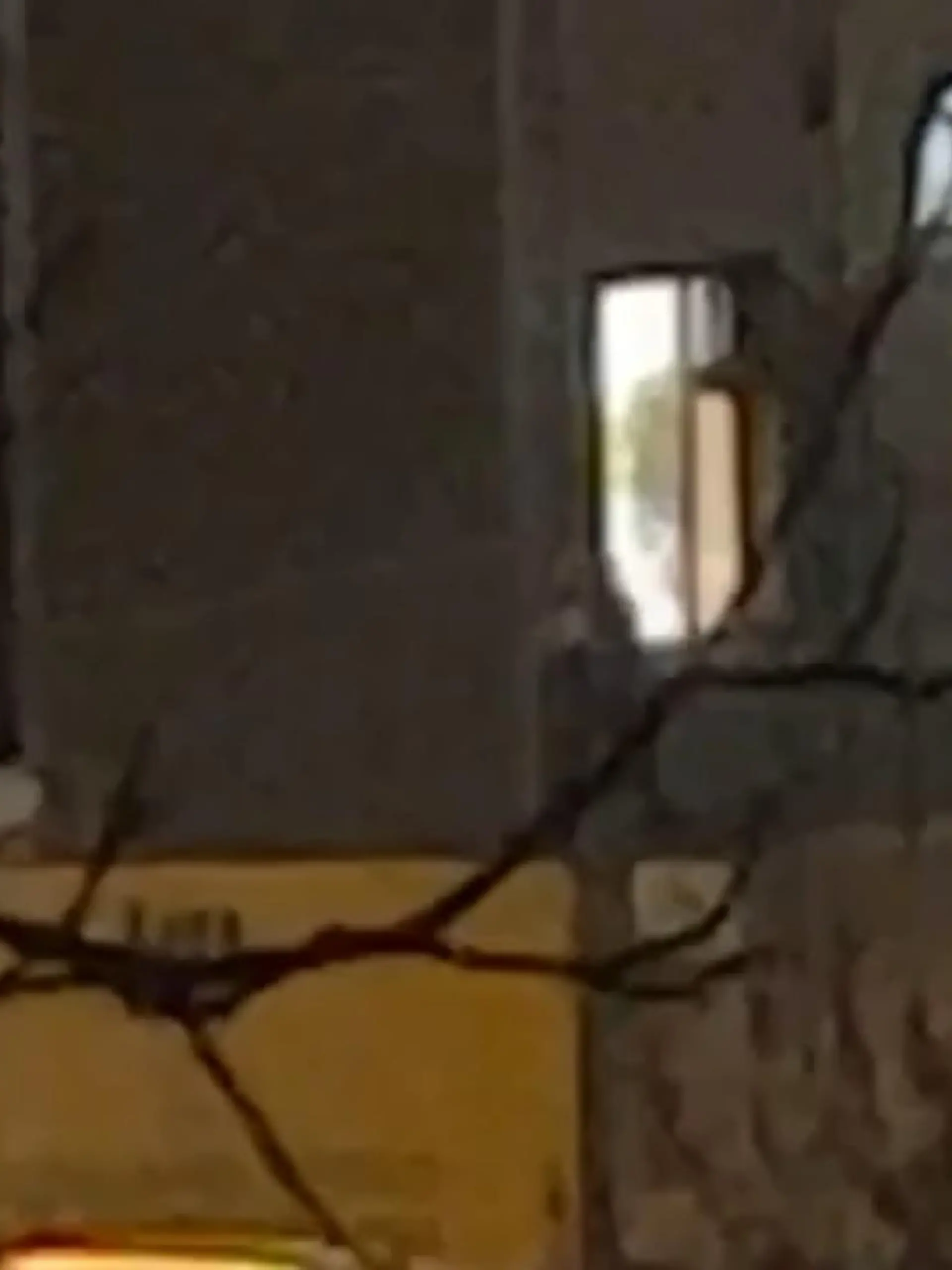 Ein Anwohner filmt den Amokschützen, der bei einer Veranstaltung der Zeugen Jehovas um sich schießt.