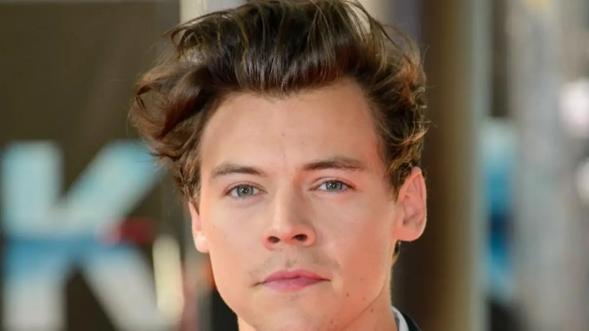 Harry Styles: Er geht zum Therapeuten