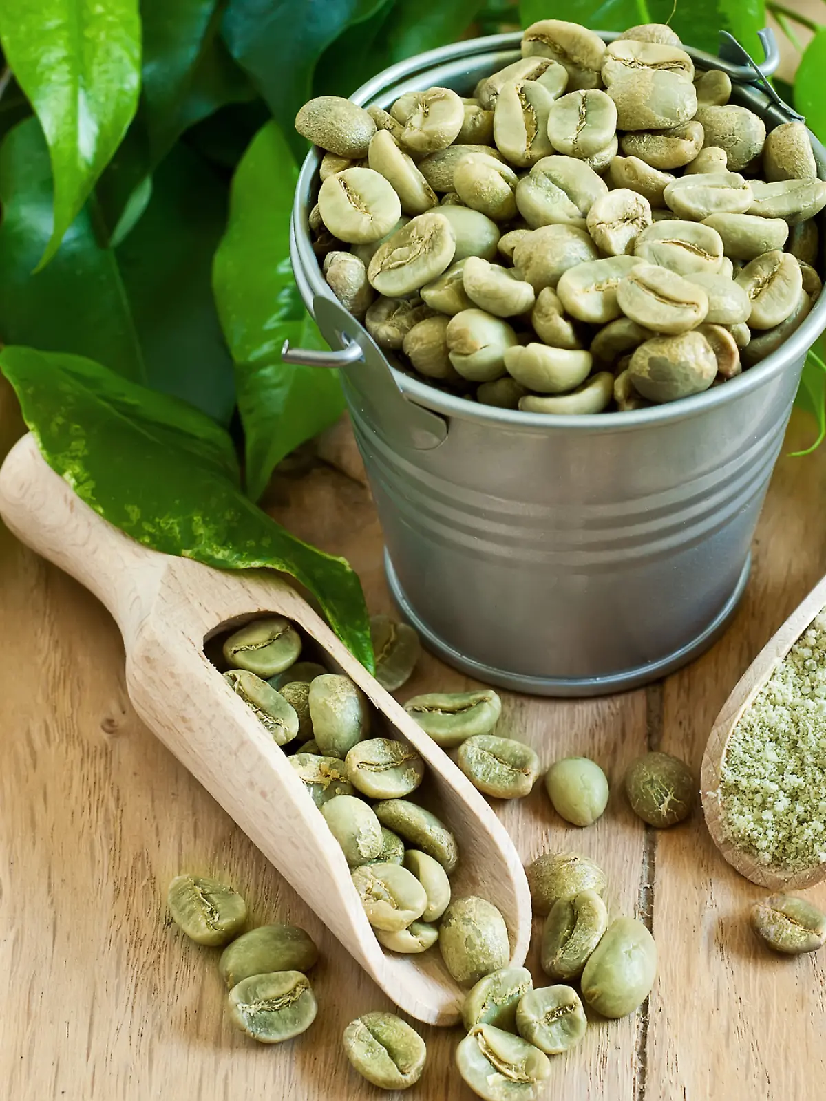 grüner Kaffee