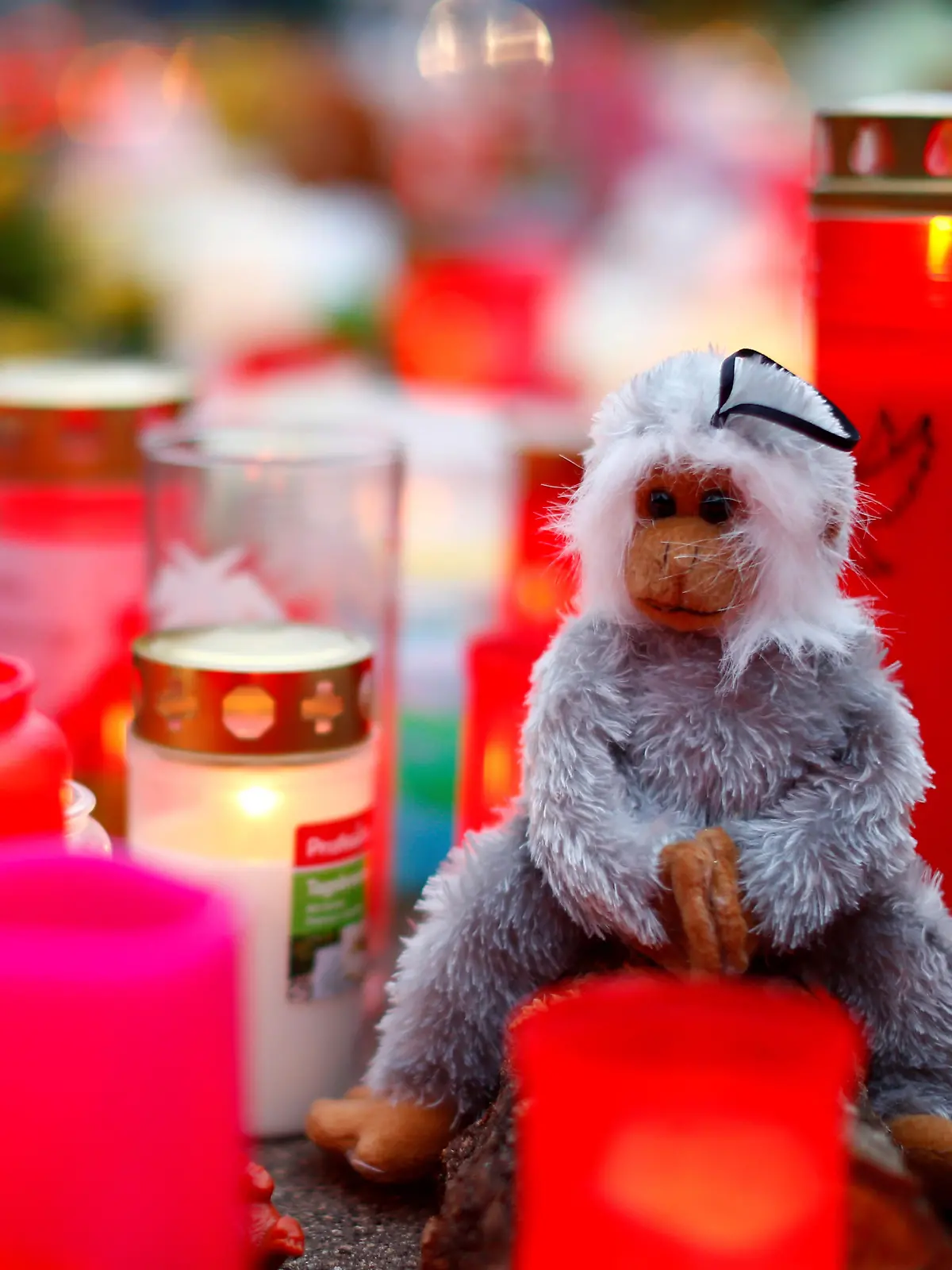A toy monkey is seen between flowers and candles outside the zoo of Krefeld after a monkey house burned down and dozens of animals were killed by the fire in Krefeld, Germany, January 2, 2020. REUTERS/Thilo Schmuelgen     TPX IMAGES OF THE DAY