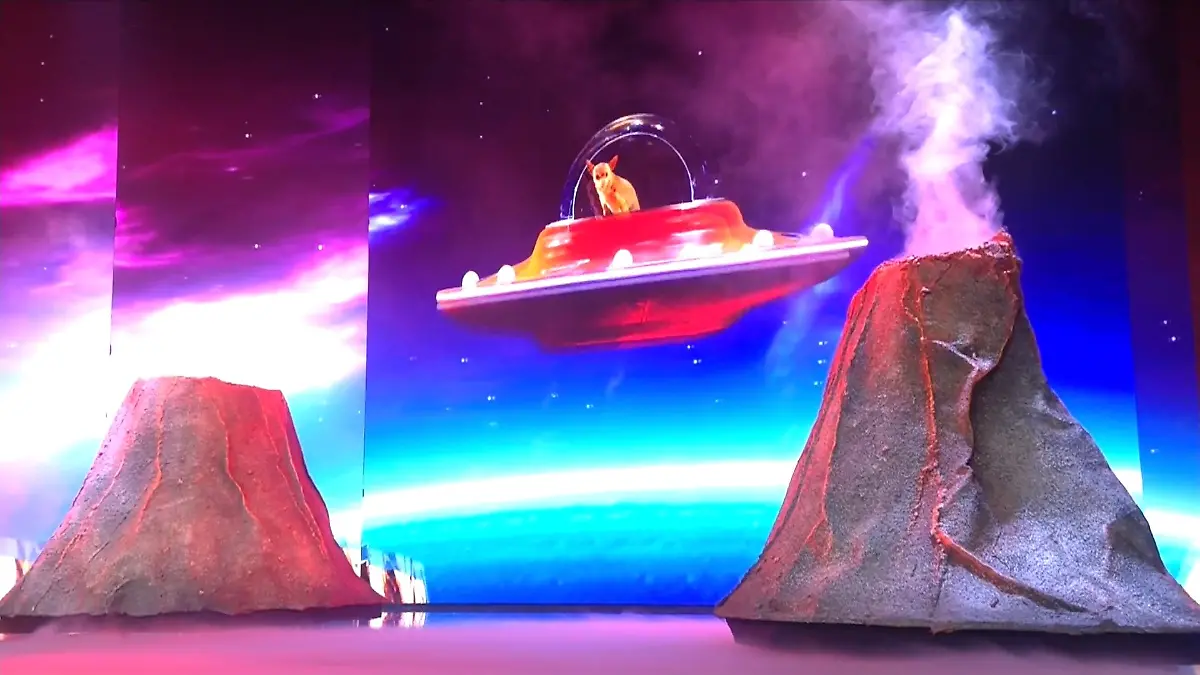 Galaktischer Auftritt von Christian & Hund Percy Supertalent-Finale 2019
