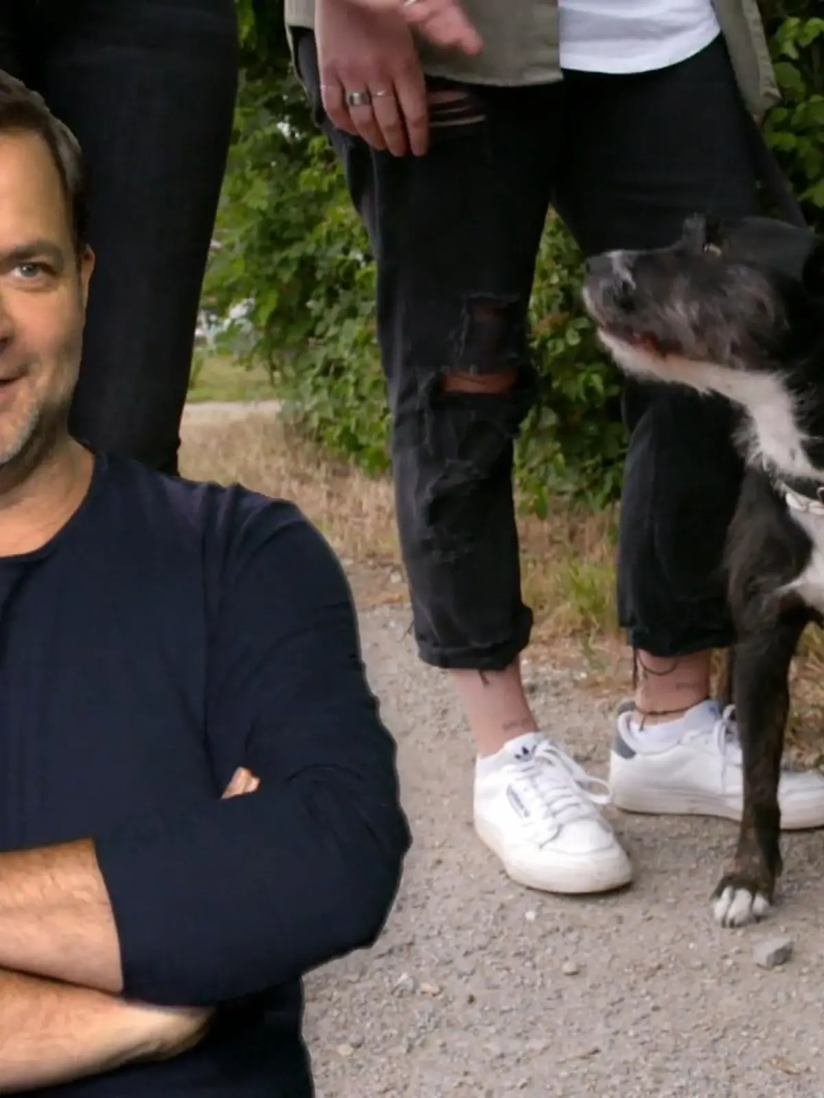 Bild zu: "So erkennt man einen aggressiven Hund"