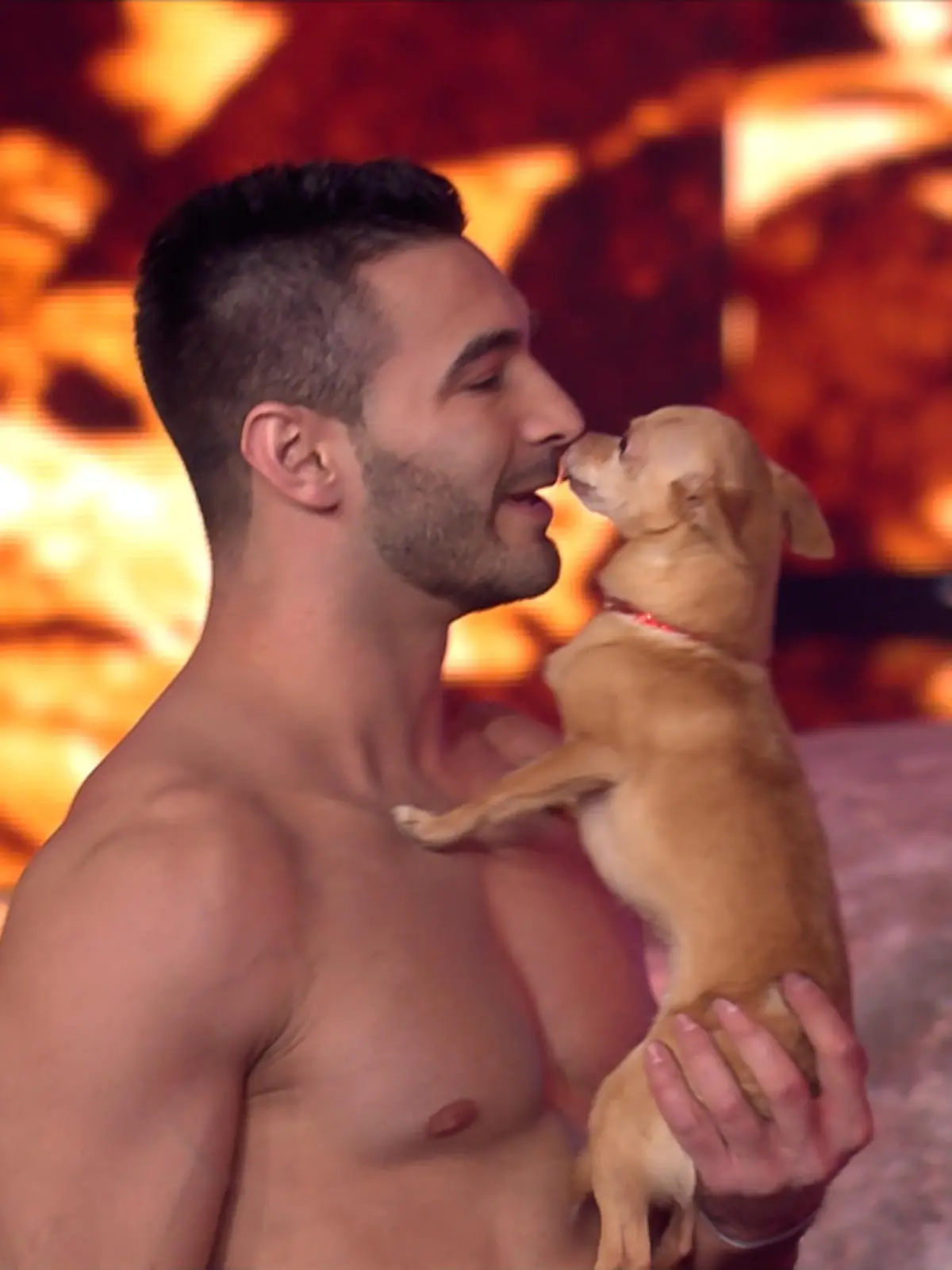 Galaktischer Auftritt von Christian und Chihuahua Percy.