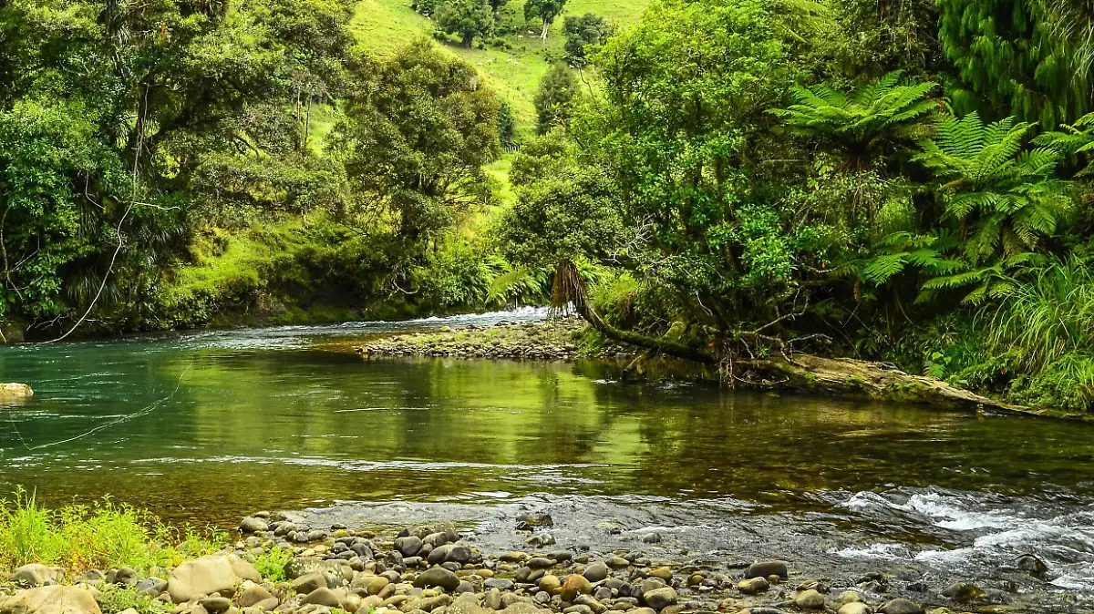 Awakino River in Neuseeland