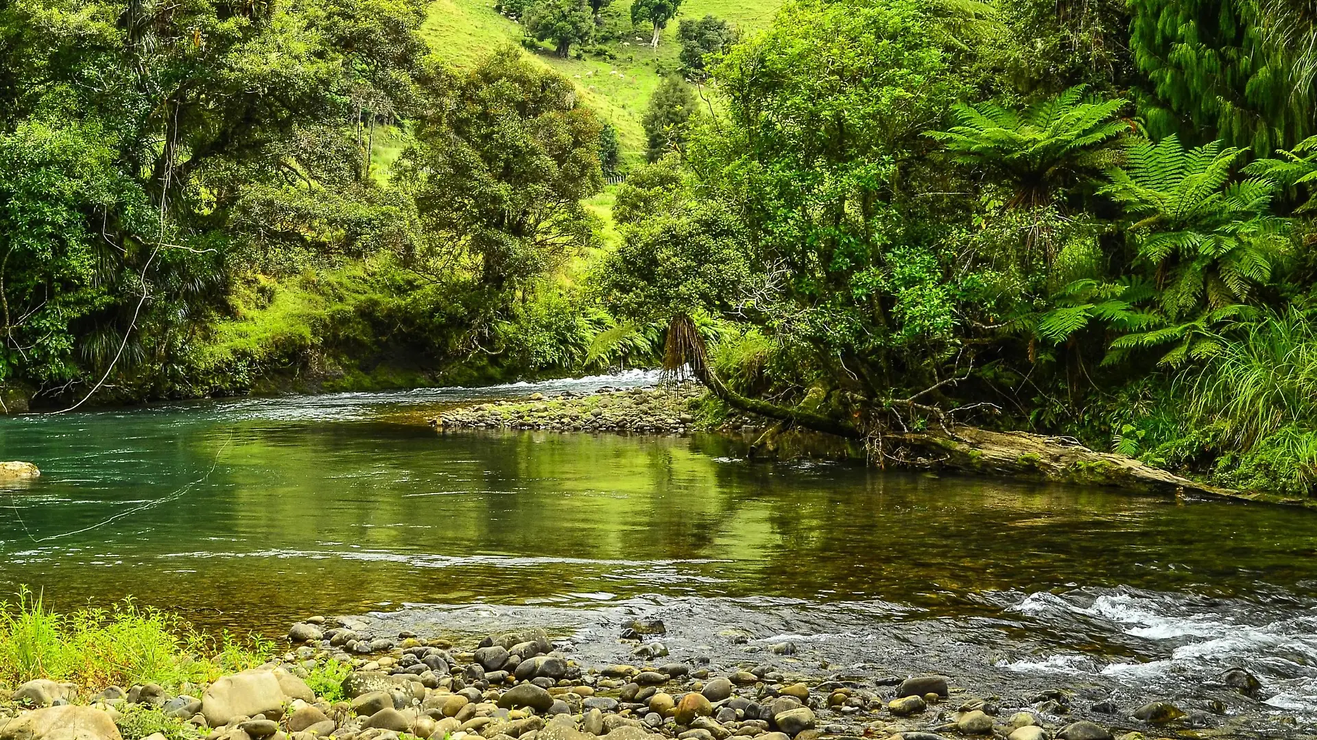 Awakino River in Neuseeland