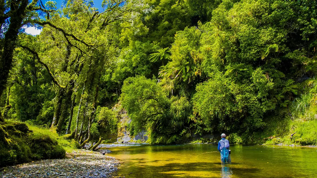 Awakino River in Neuseeland