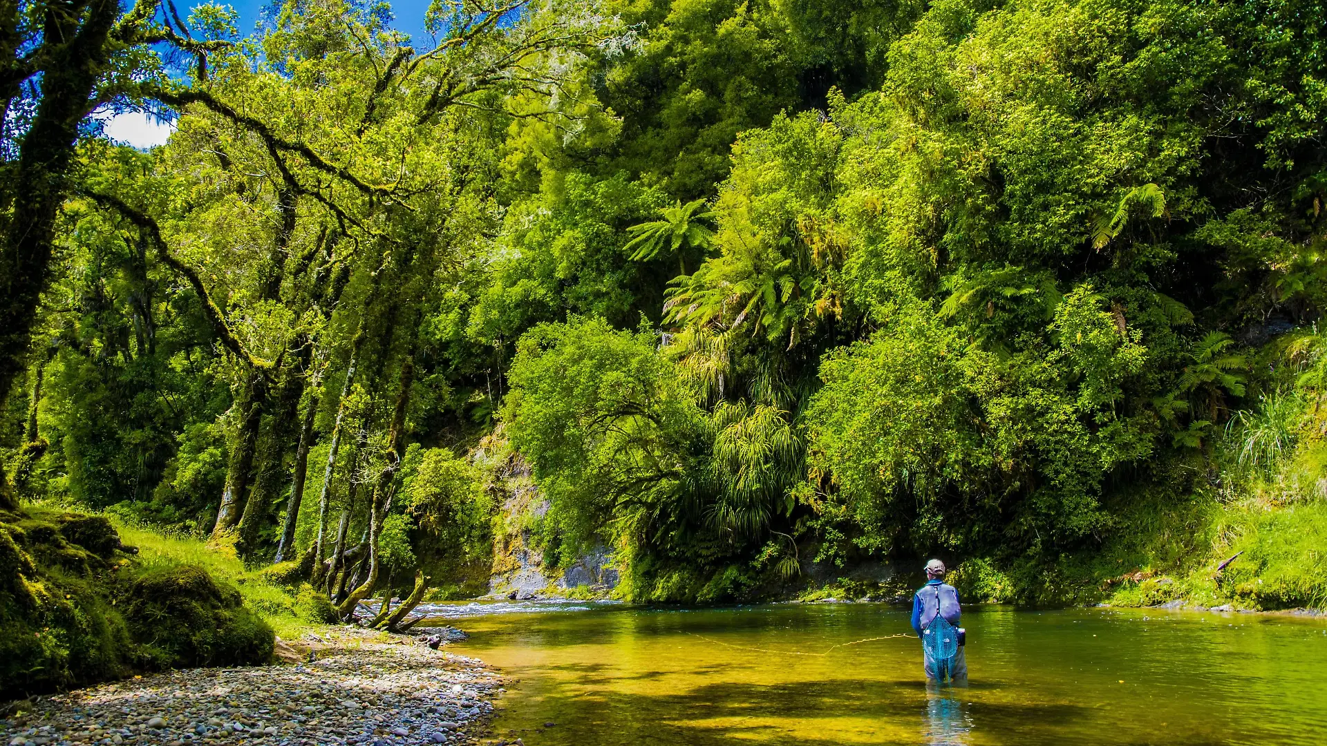 Awakino River in Neuseeland
