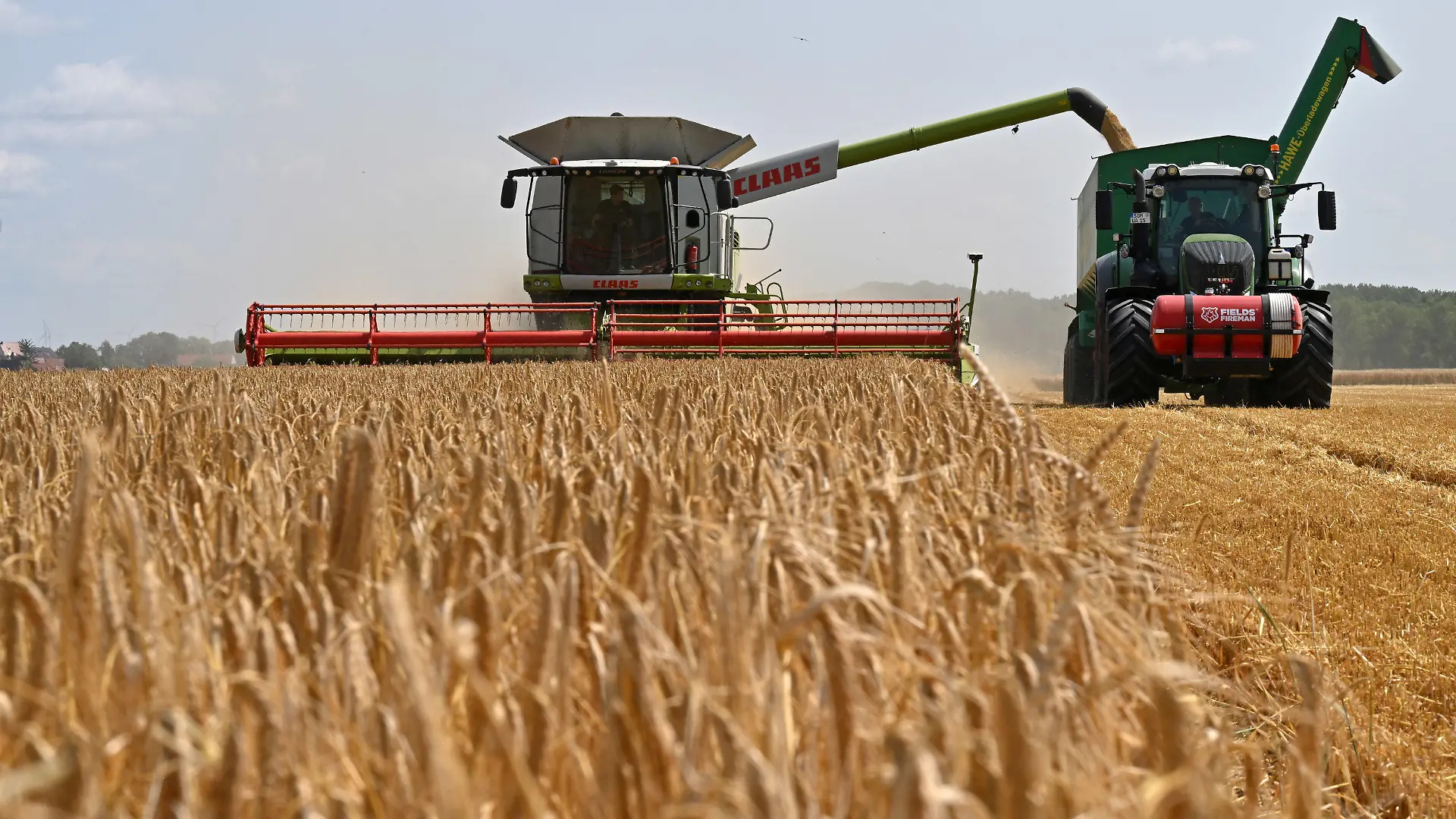 ARCHIV - 04.07.2023, Thüringen, Riethnordhausen: Landwirte ernten Wintergerste mit Mähdreschern auf einem Feld. Die Erzeugerpreise für landwirtschaftliche Produkte sind im Juni das dritte Mal in Folge im Vorjahresvergleich gesunken.  Vor allem bei Getreide gab es einen deutlichen Rückgang (zu dpa «Landwirtschaftliche Erzeugerpreise weiter rückläufig»). Foto: Martin Schutt/dpa +++ dpa-Bildfunk +++